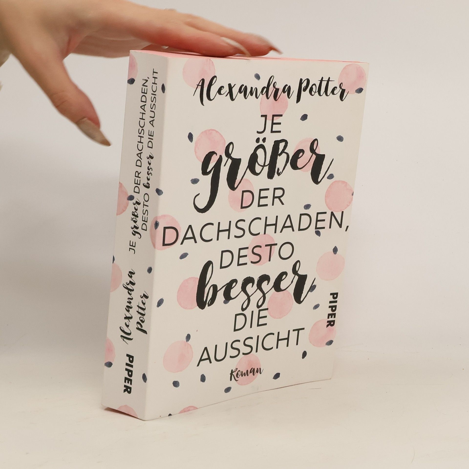 Alexandra Potter Je größer der Dachschaden, desto besser die Aussicht