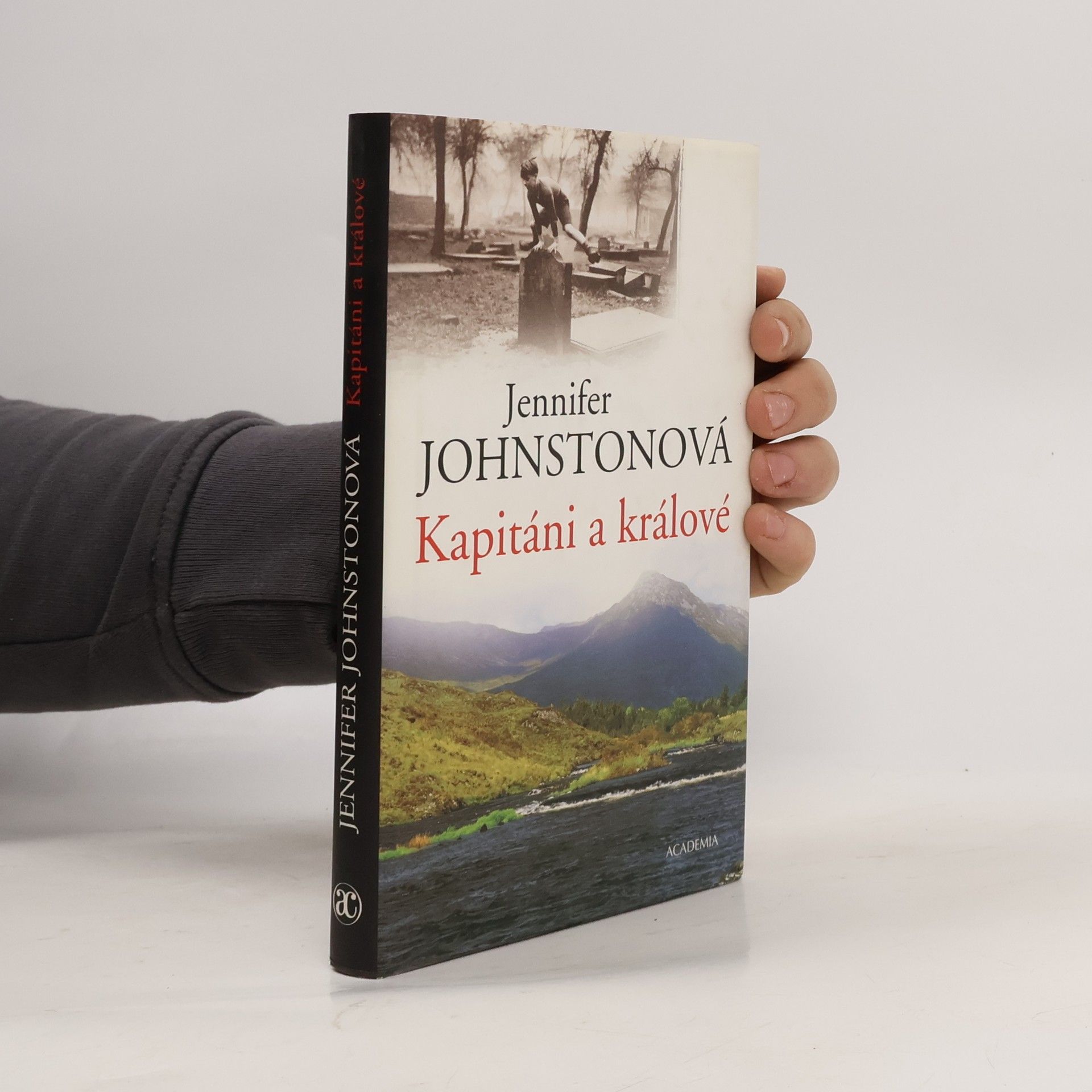 Jennifer Johnston Kapitáni a králové