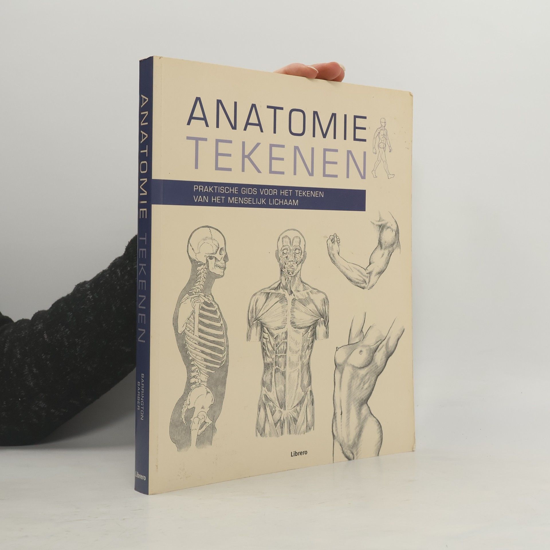 Barrington Gaynher Anatomie Tekenen
