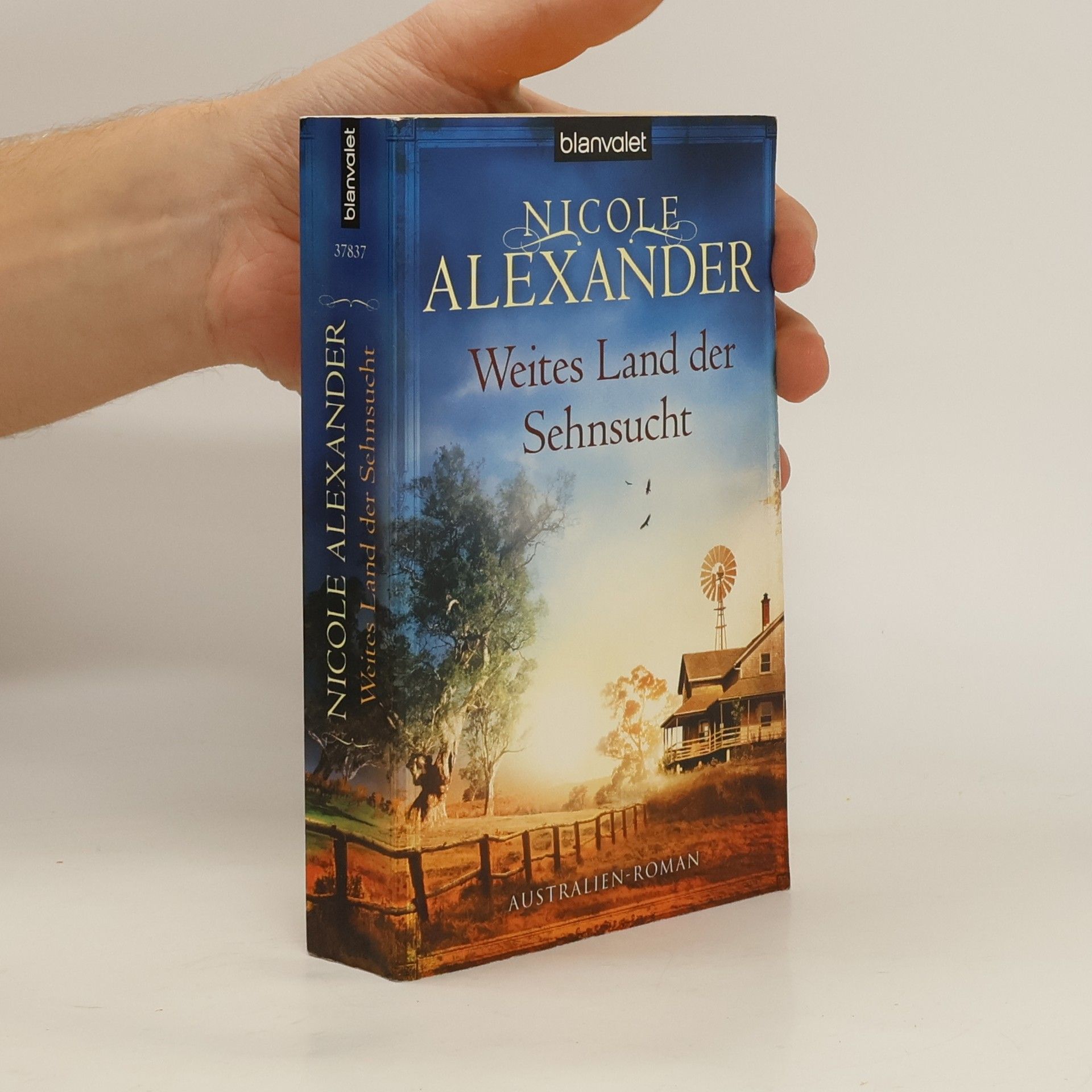 Nicole Alexander Weites Land der Sehnsucht