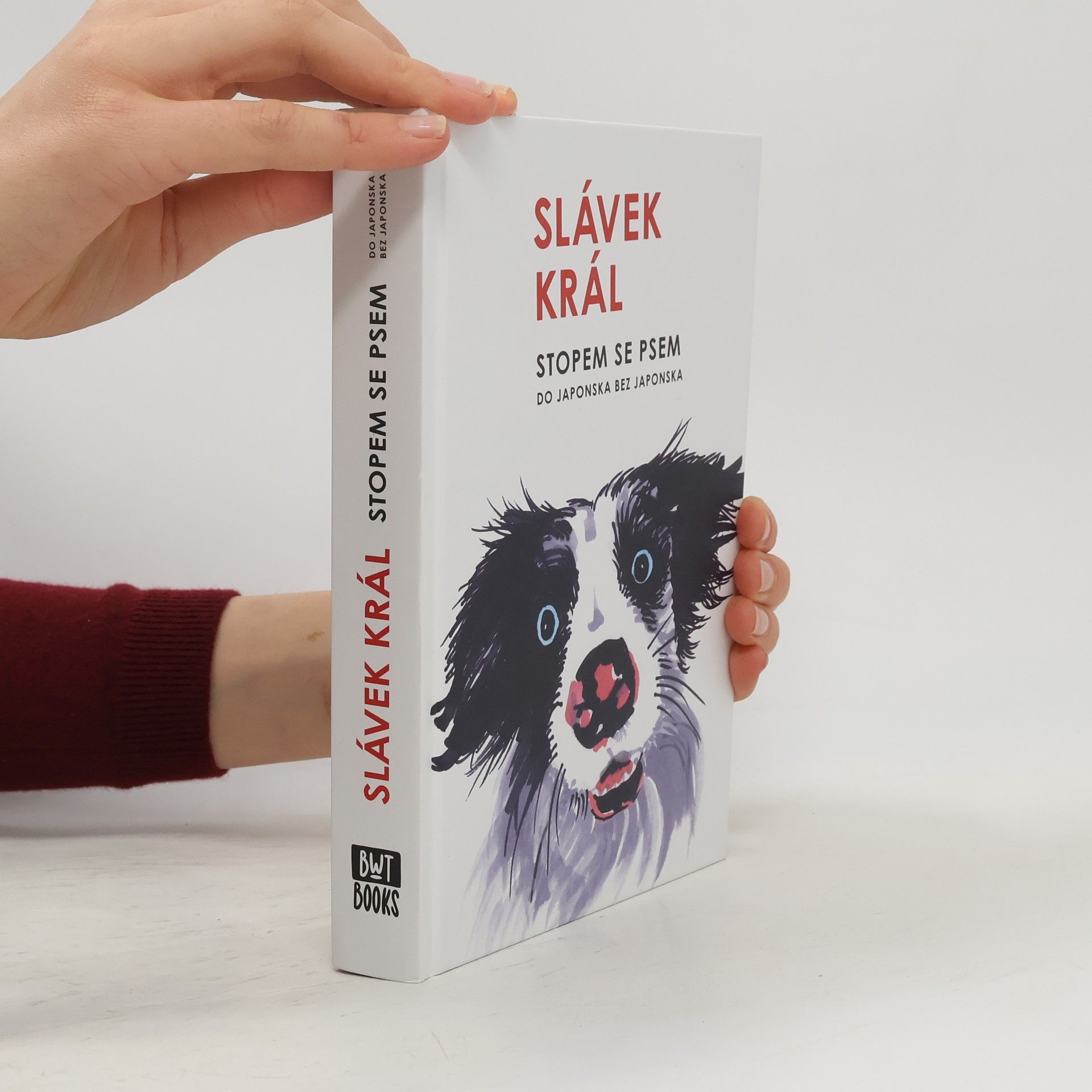 Slávek Král Stopem se psem : do Japonska bez Japonska