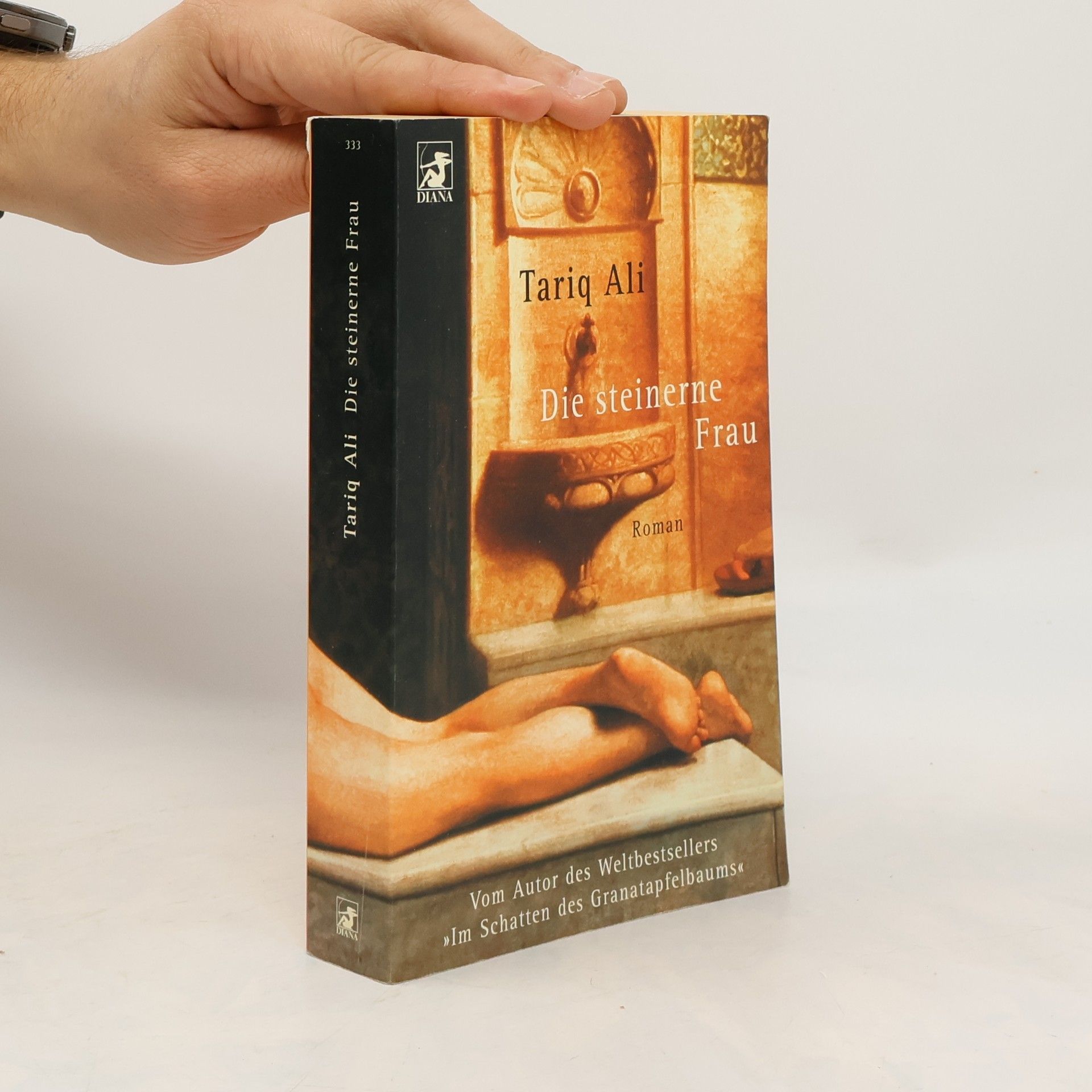 Tariq Ali Die steinerne Frau