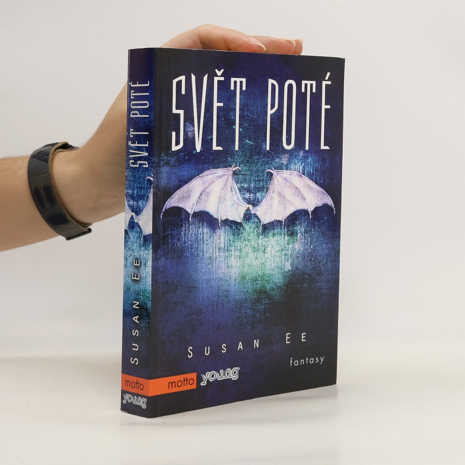 Susan Ee Svět poté