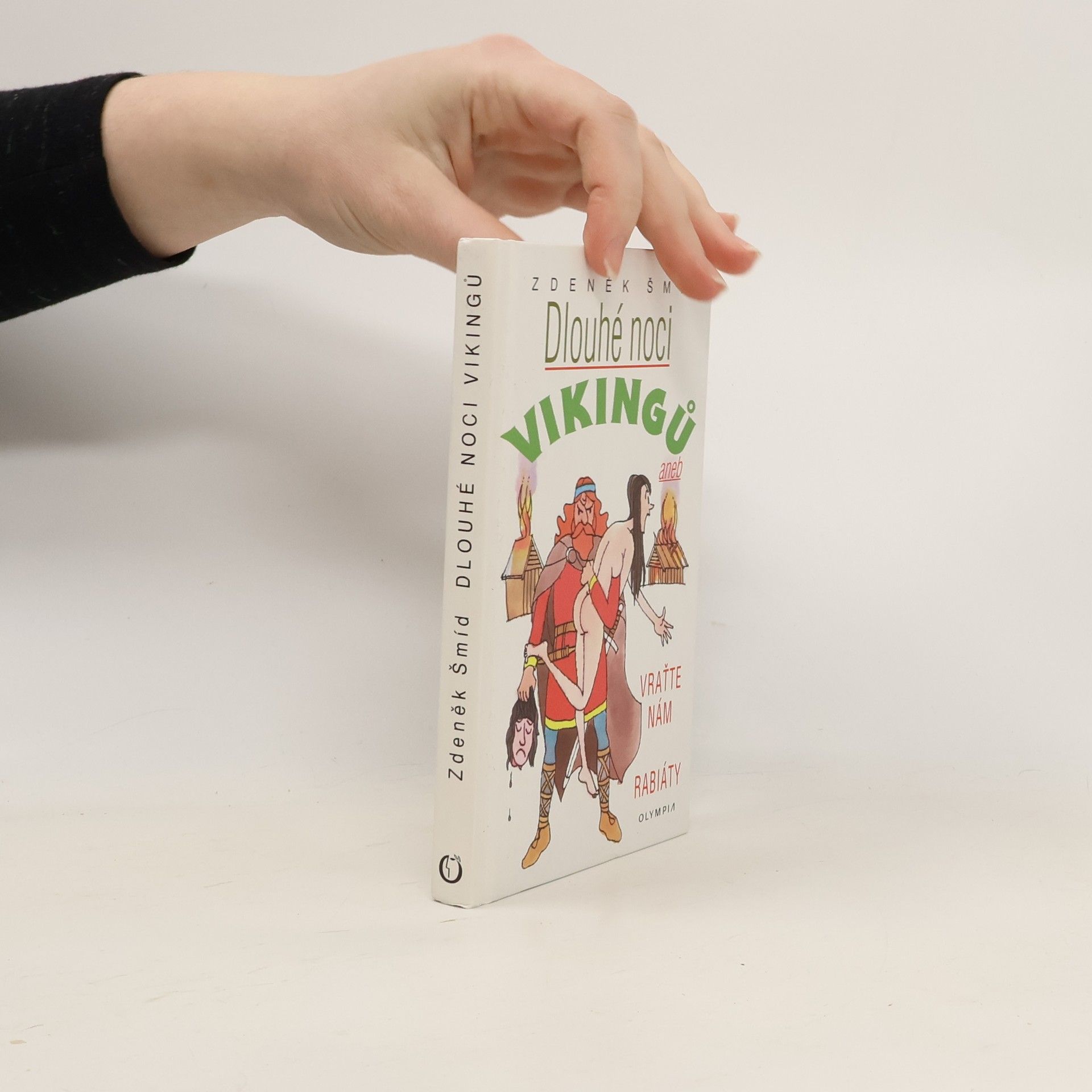 Zdeněk Šmíd Dlouhé noci Vikingů aneb Vraťte nám rabiáty