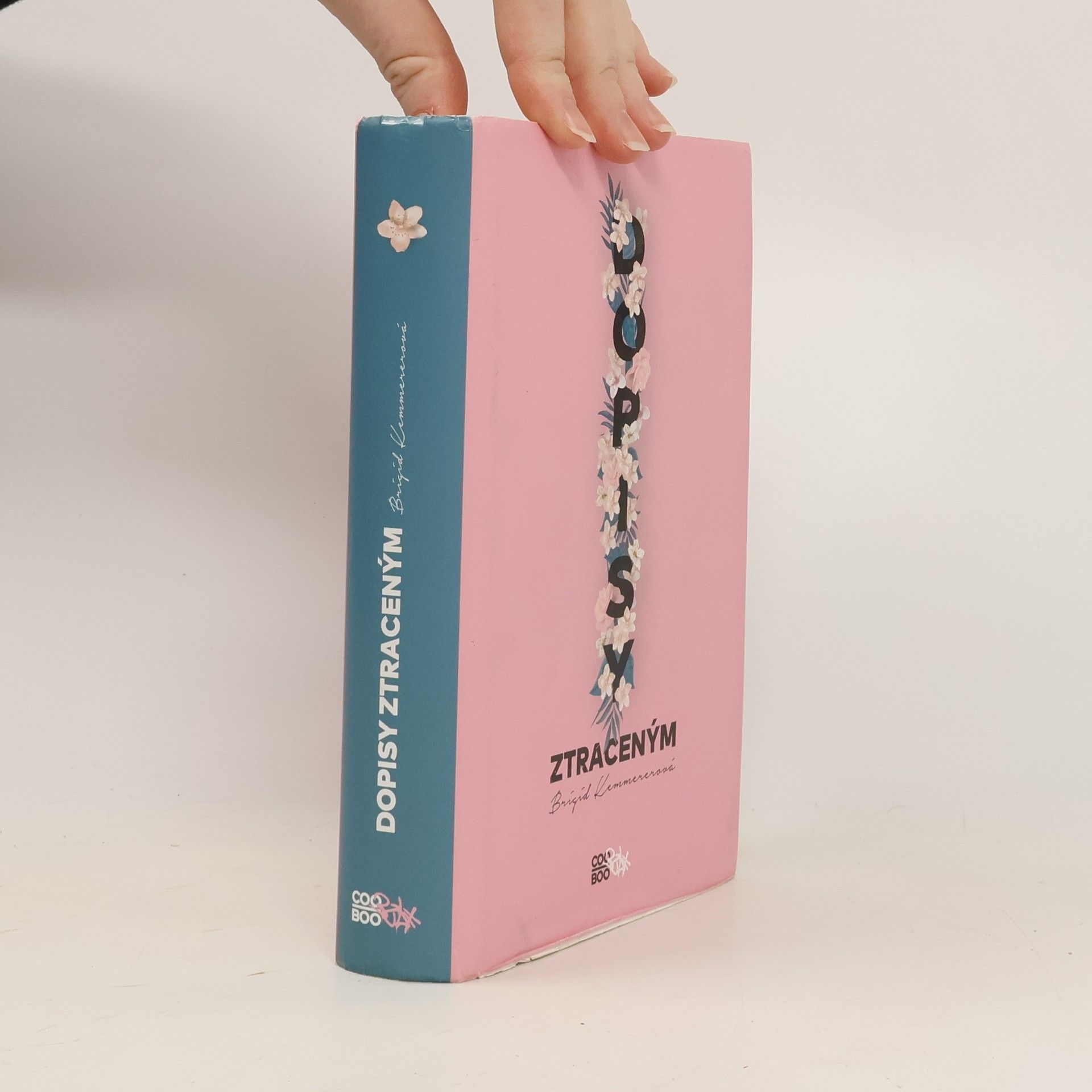 Brigid Kemmerer Dopisy ztraceným