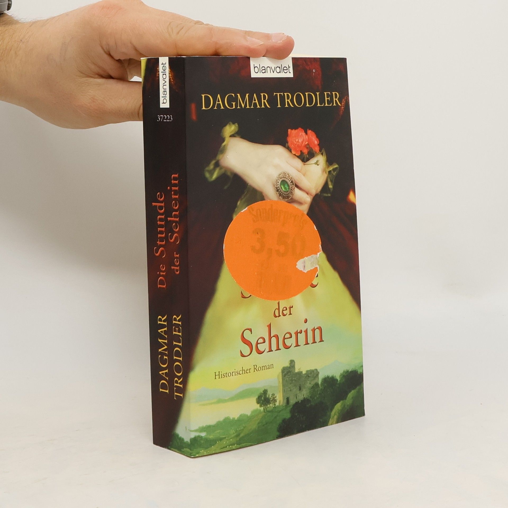 Die Stunde der Seherin