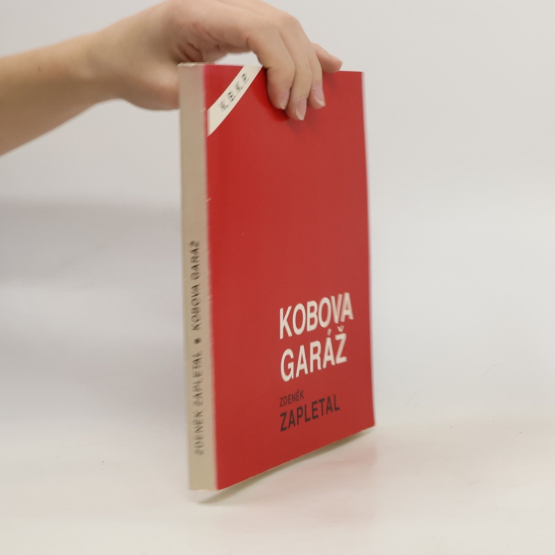 Zdeněk Zapletal Kobova garáž