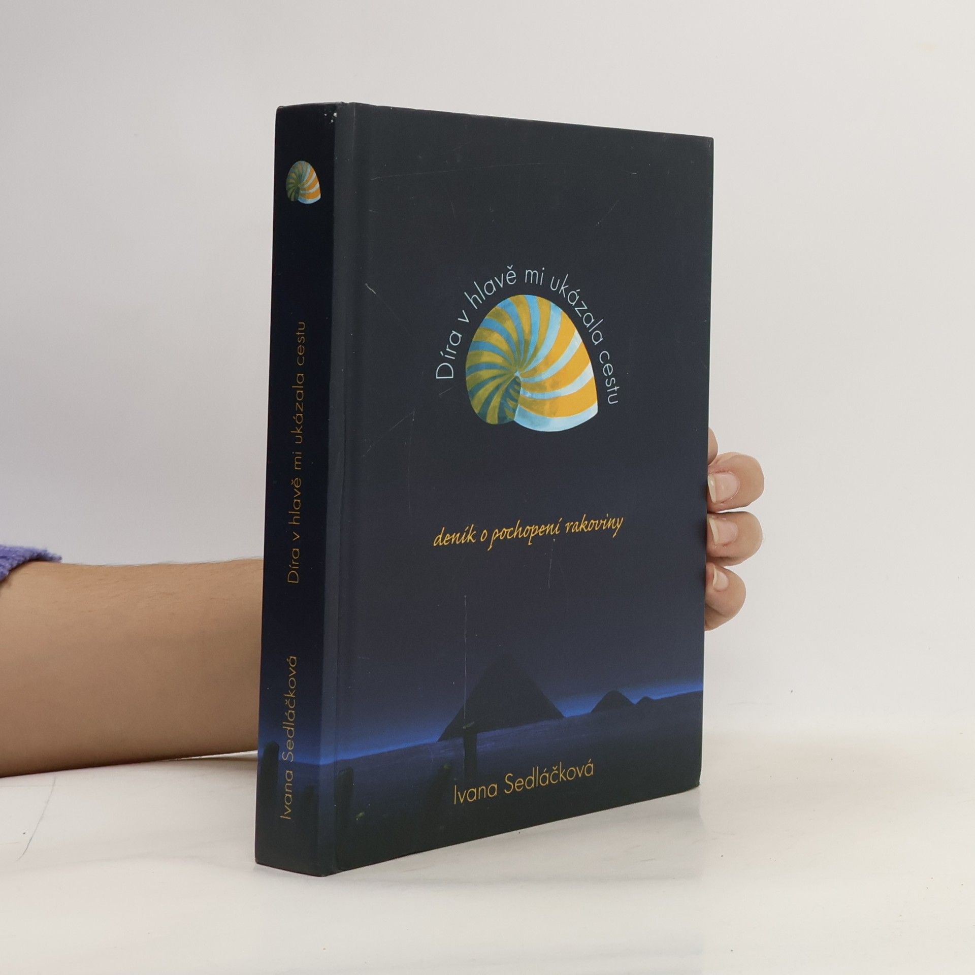 Ivana Sedláčková Díra v hlavě mi ukázala cestu