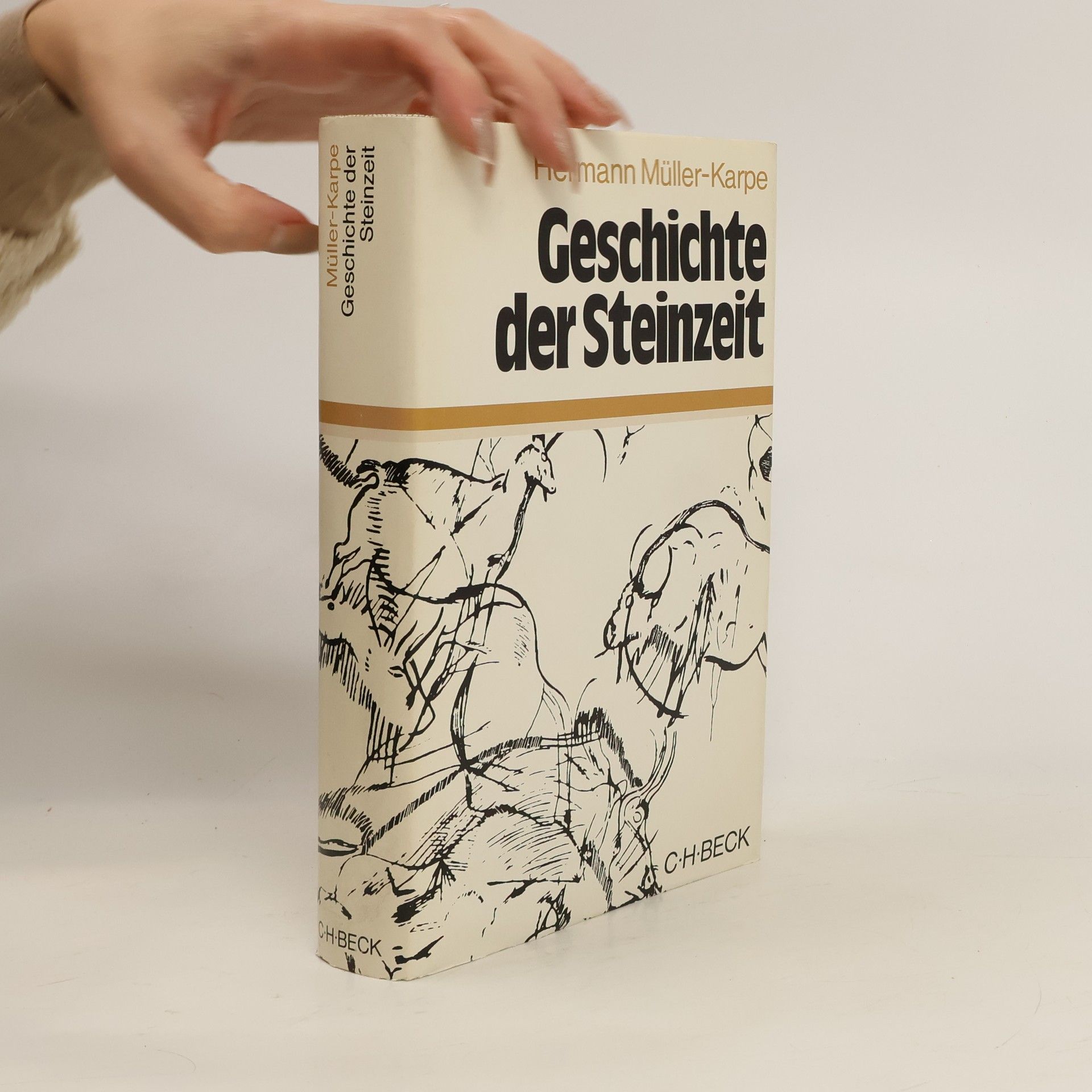 Hermann Müller-Karpe Geschichte der Steinzeit