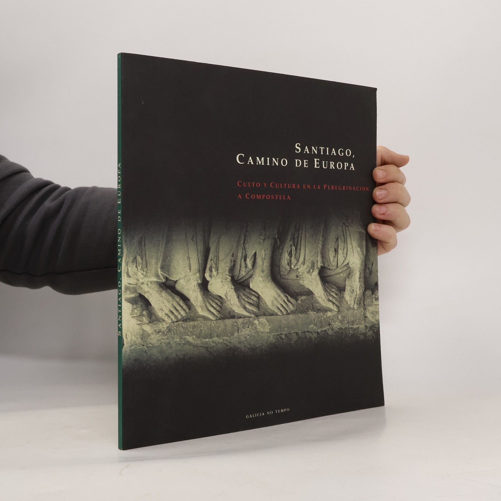 Various authors Santiago, camino de Europa