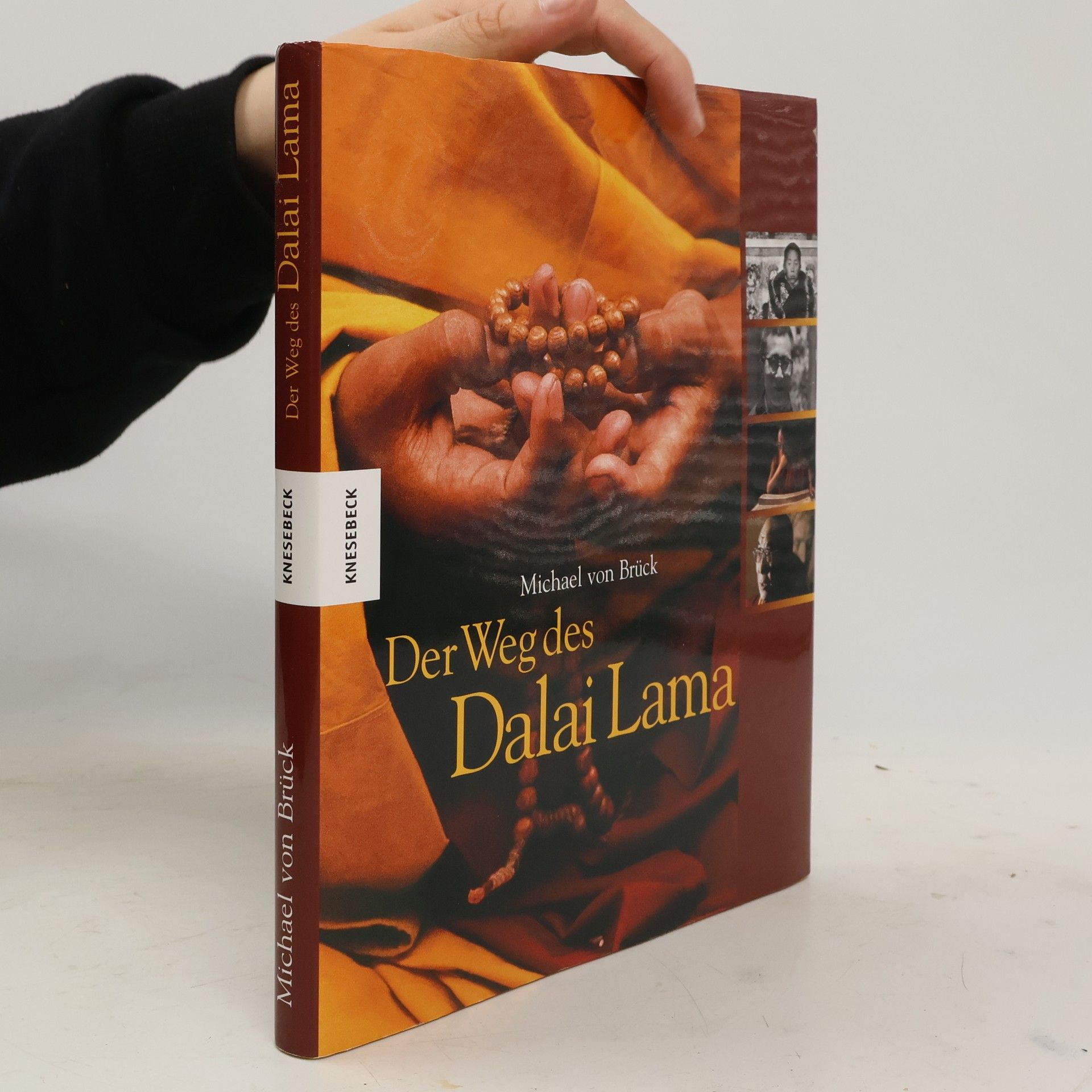 Michael von Brück Der Weg des Dalai Lama