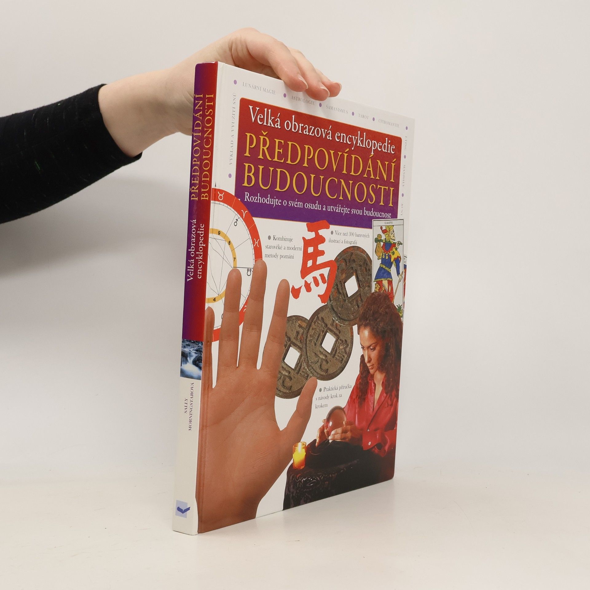 Sally Morningstar Velká obrazová encyklopedie. Předpovídání budoucnosti
