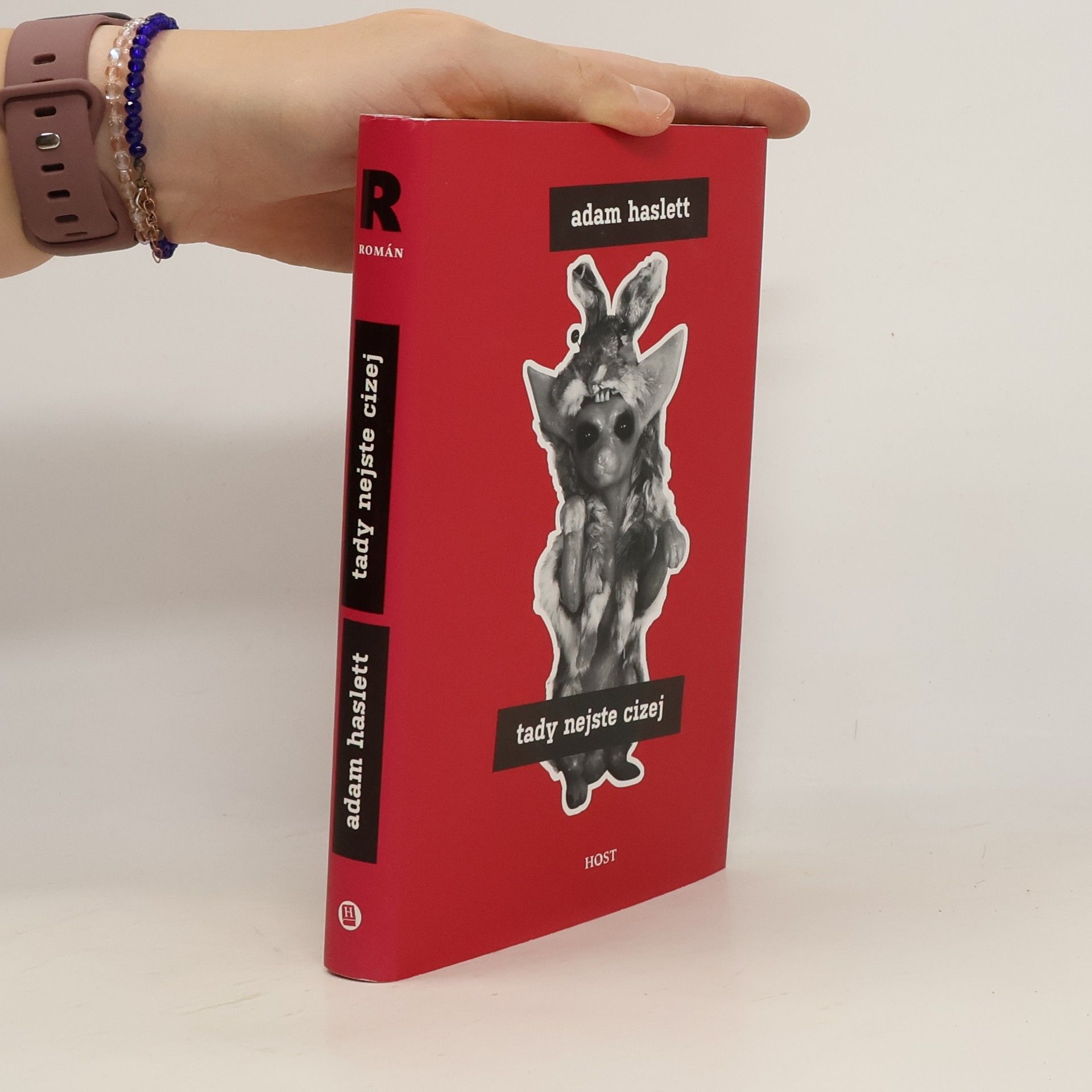 Adam Haslett Tady nejste cizej