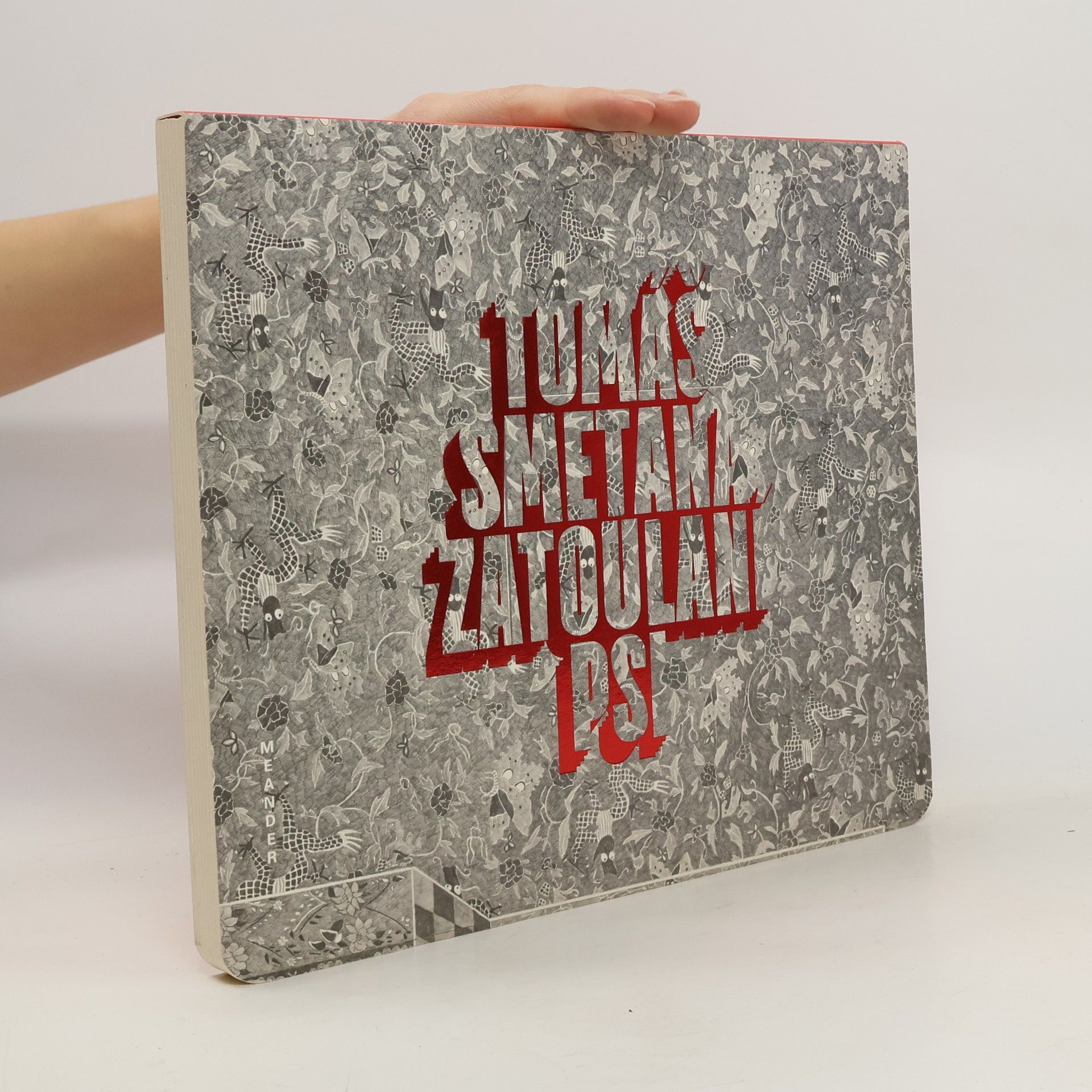 Tomáš Smetana Zatoulaní psi