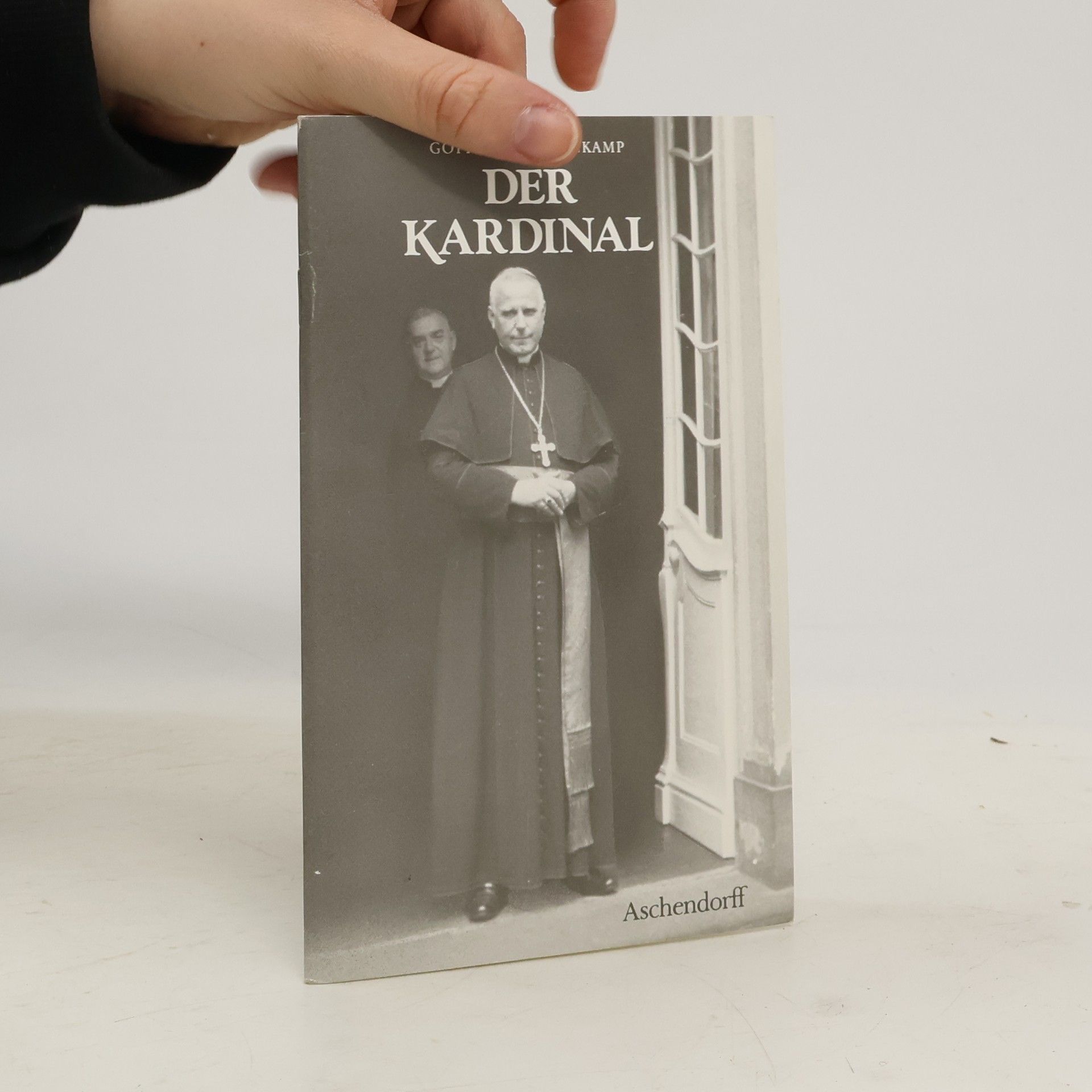 Gottfried Hasenkamp Der Kardinal