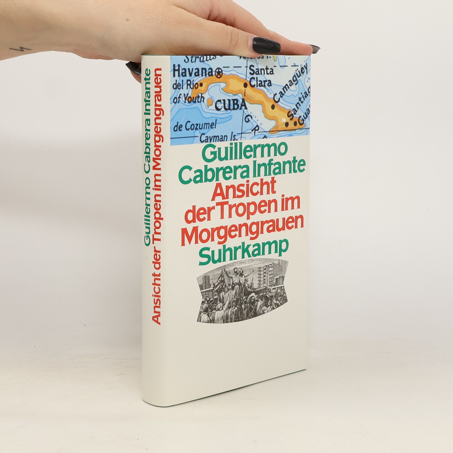 Ansicht der Tropen im Morgengrauen