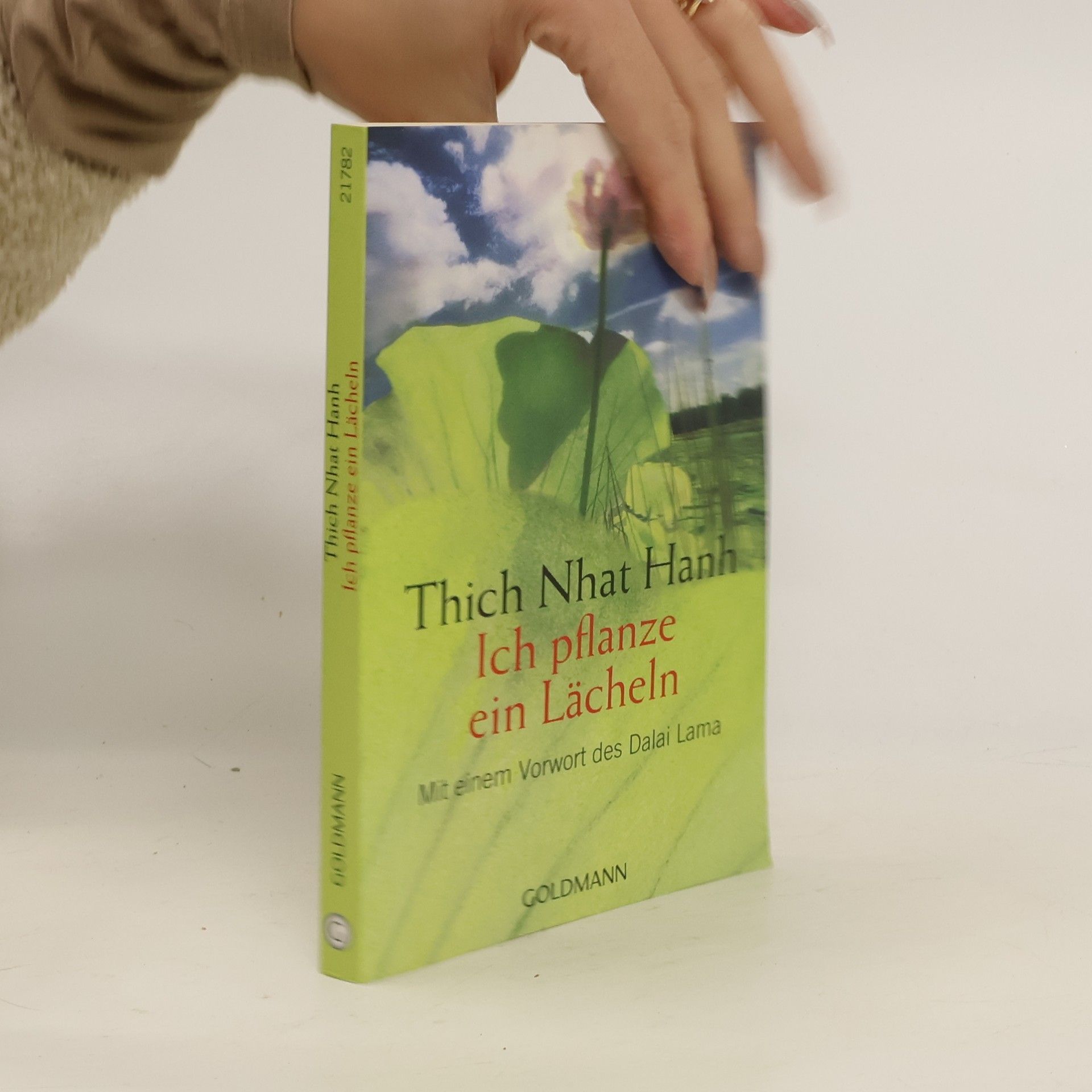 Hạnh Nhat Ich pflanze ein Lächeln