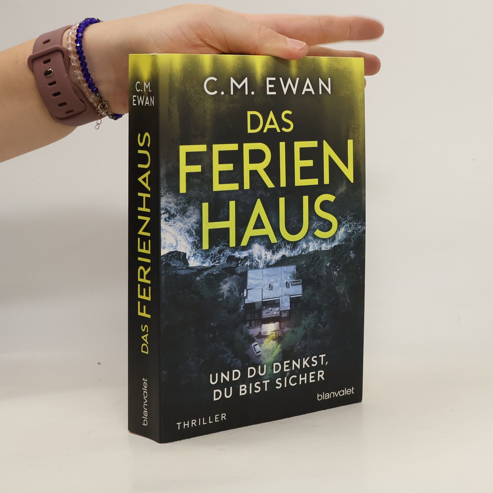 Chris Ewan Das Ferienhaus. Und du denkst, du bist sicher