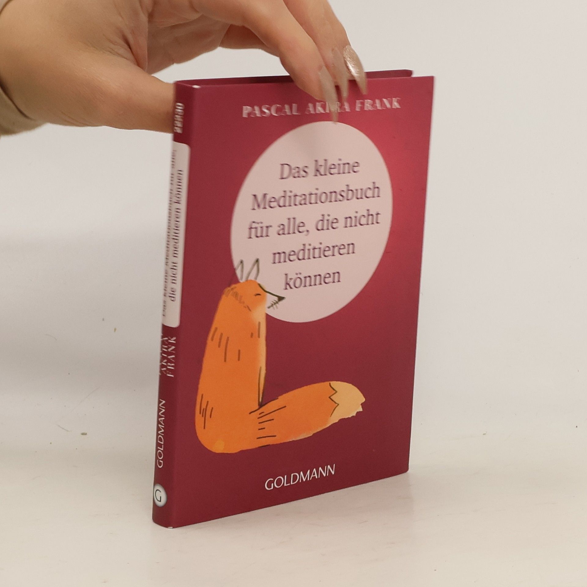 Pascal Akira Frank Das kleine Meditationsbuch für alle, die nicht meditieren können