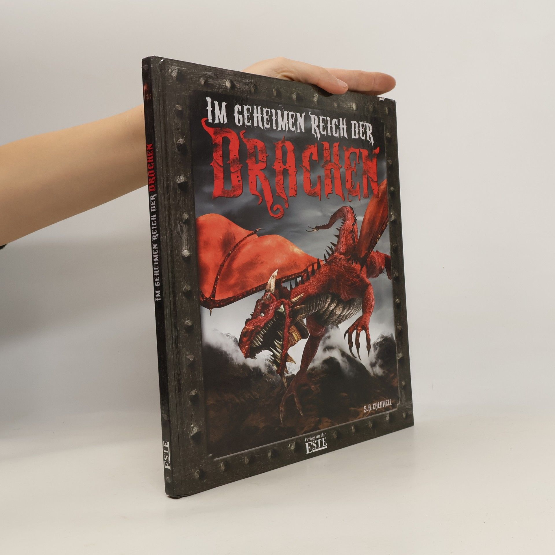 Stella Caldwell Im geheimen Reich der Drachen