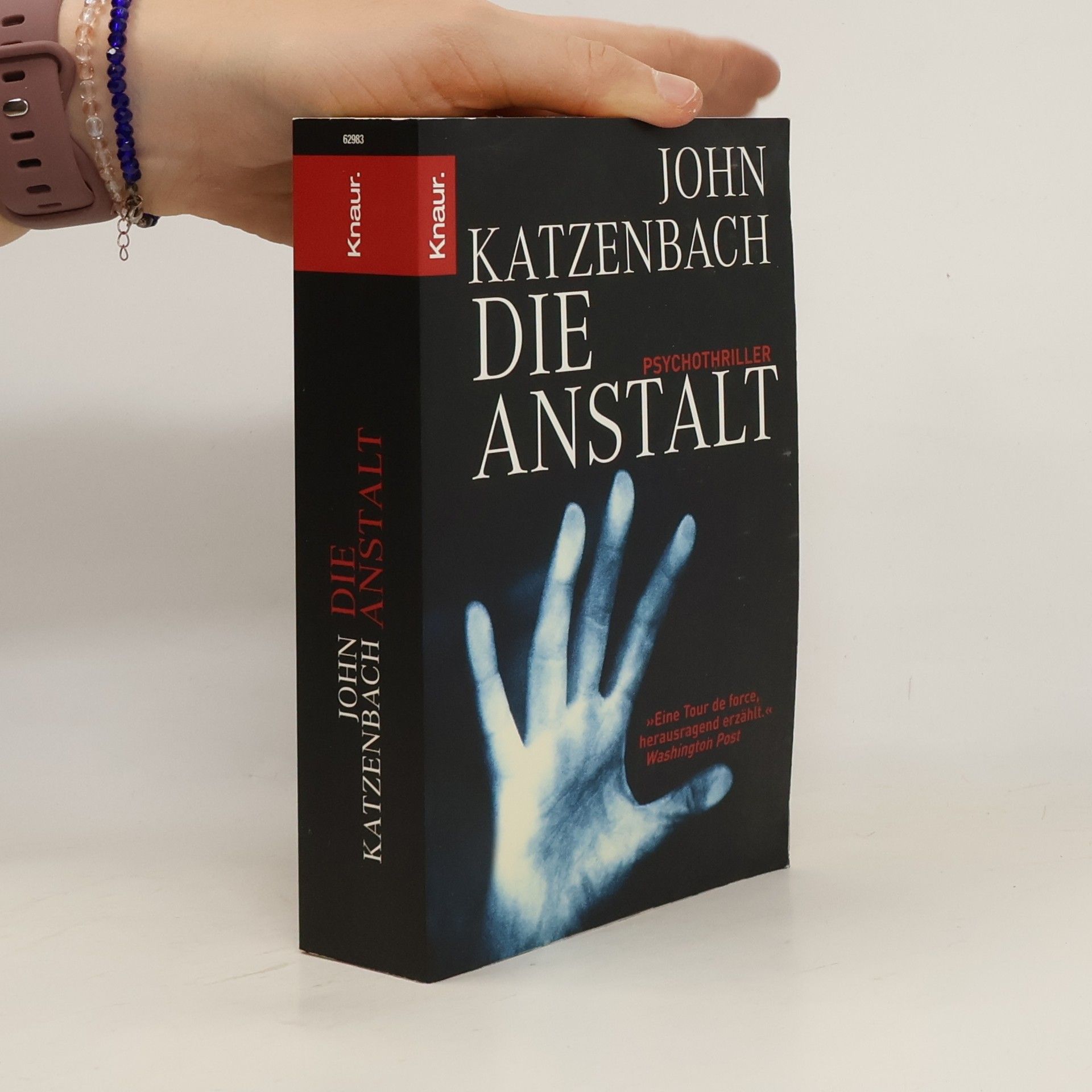 Die anstalt