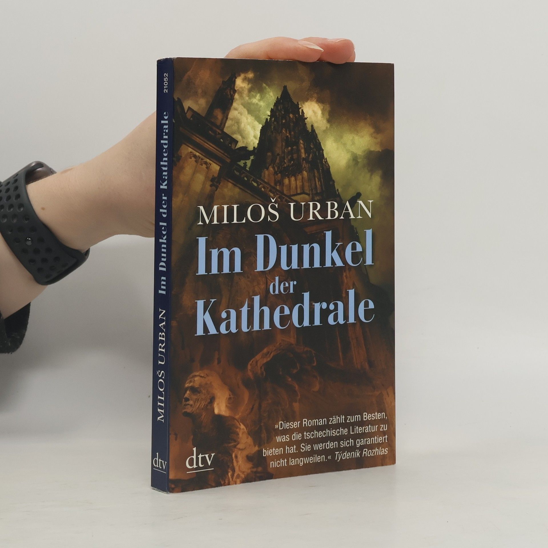 Miloš Urban Im Dunkel der Kathedrale