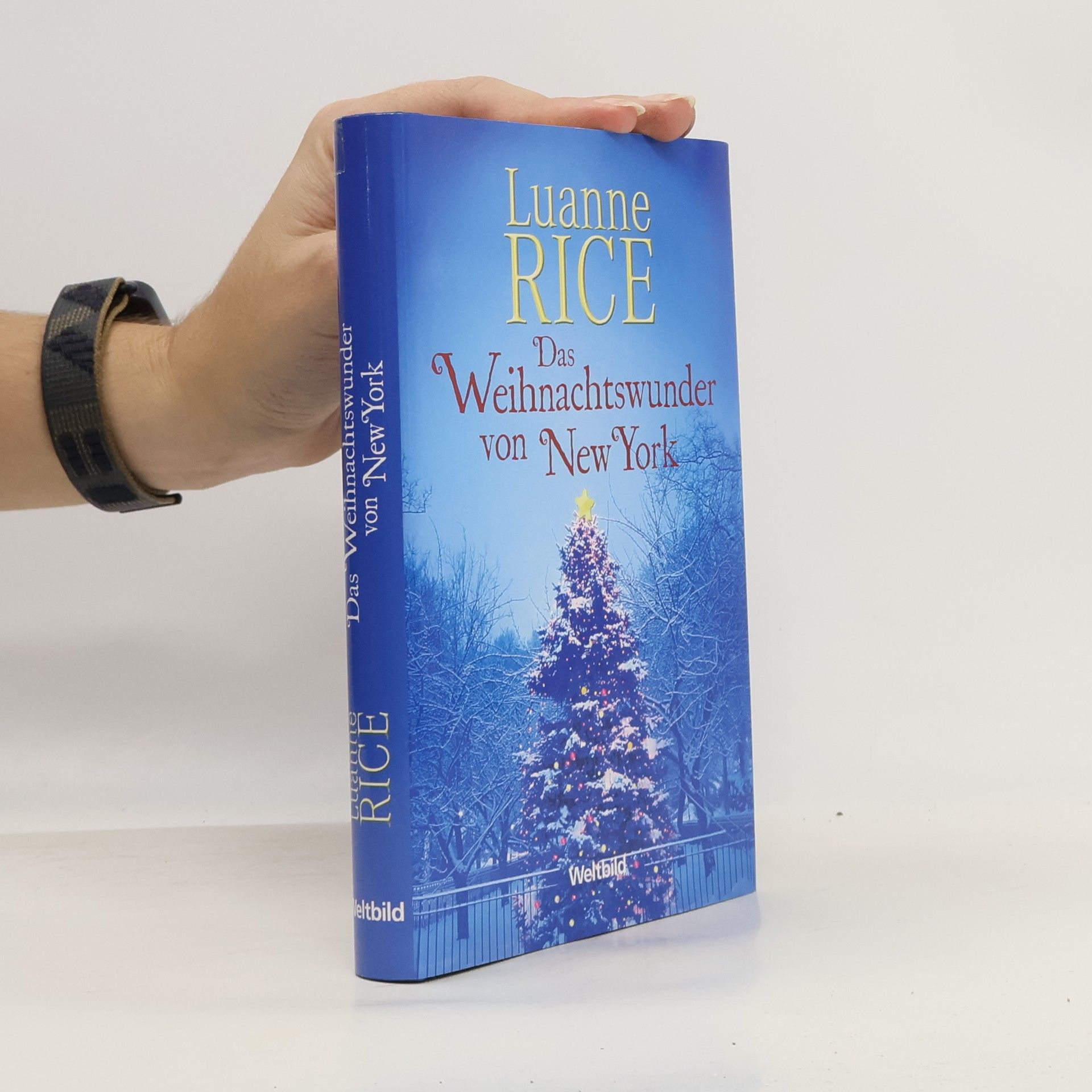 Luanne Rice Das Weihnachtswunder von New York