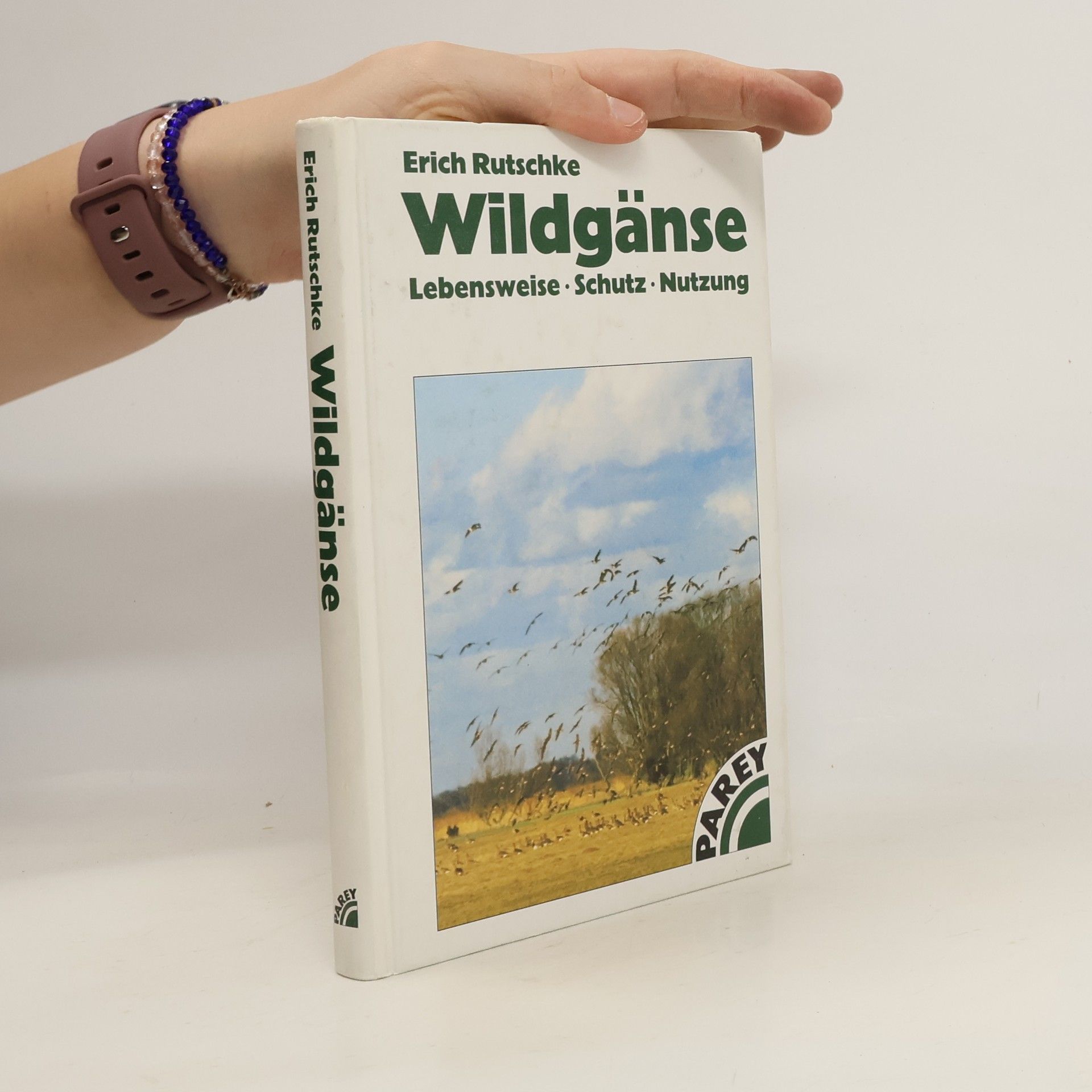 Erich Rutschke Wildgänse