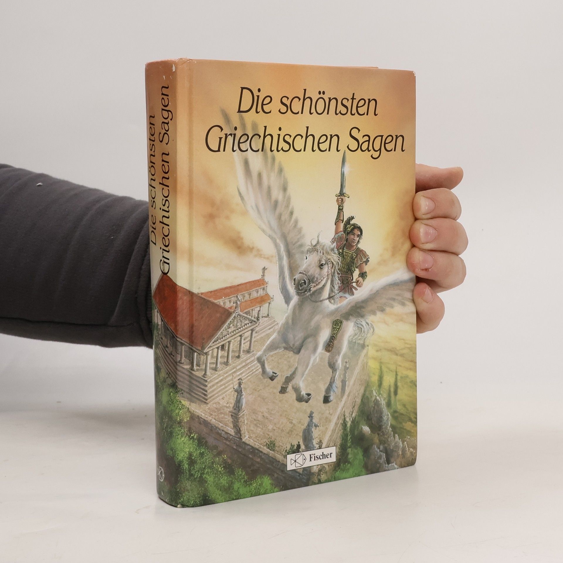 Collectif d'auteurs Die schönsten griechischen Sagen