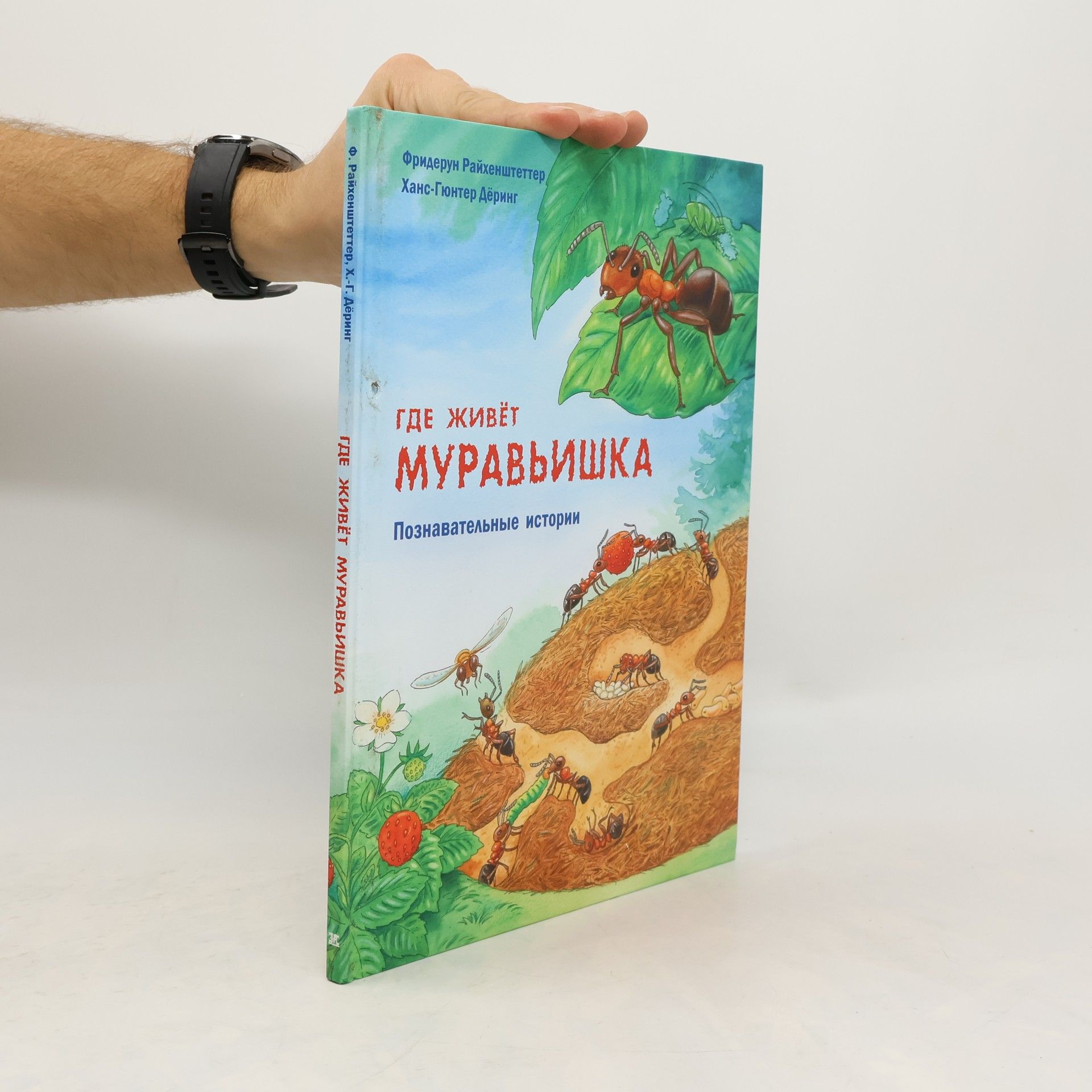 Friederun Reichenstetter Где живёт муравьишка