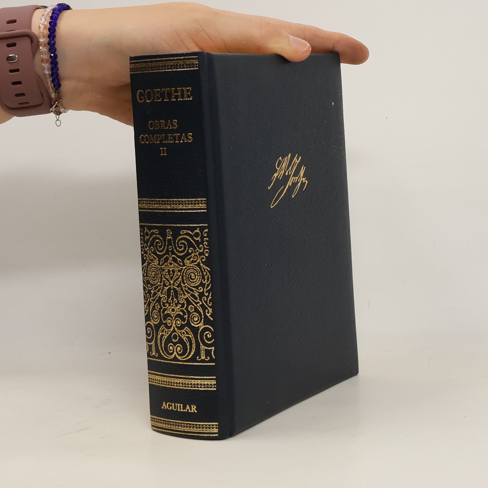 Johann Wolfgang von Goethe Obras completas