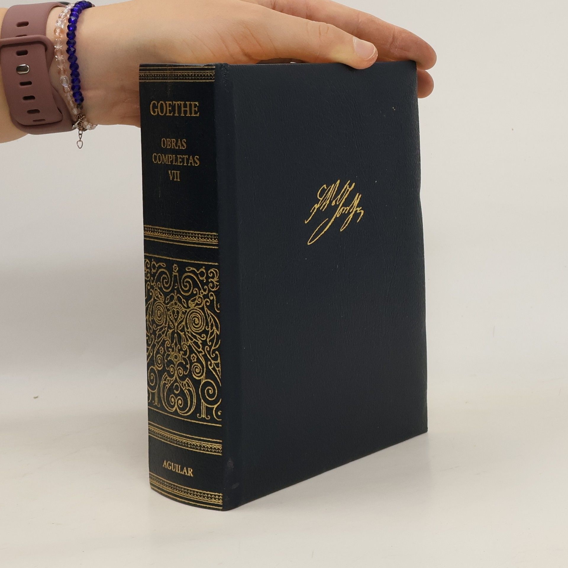 Johann Wolfgang von Goethe Obras completas