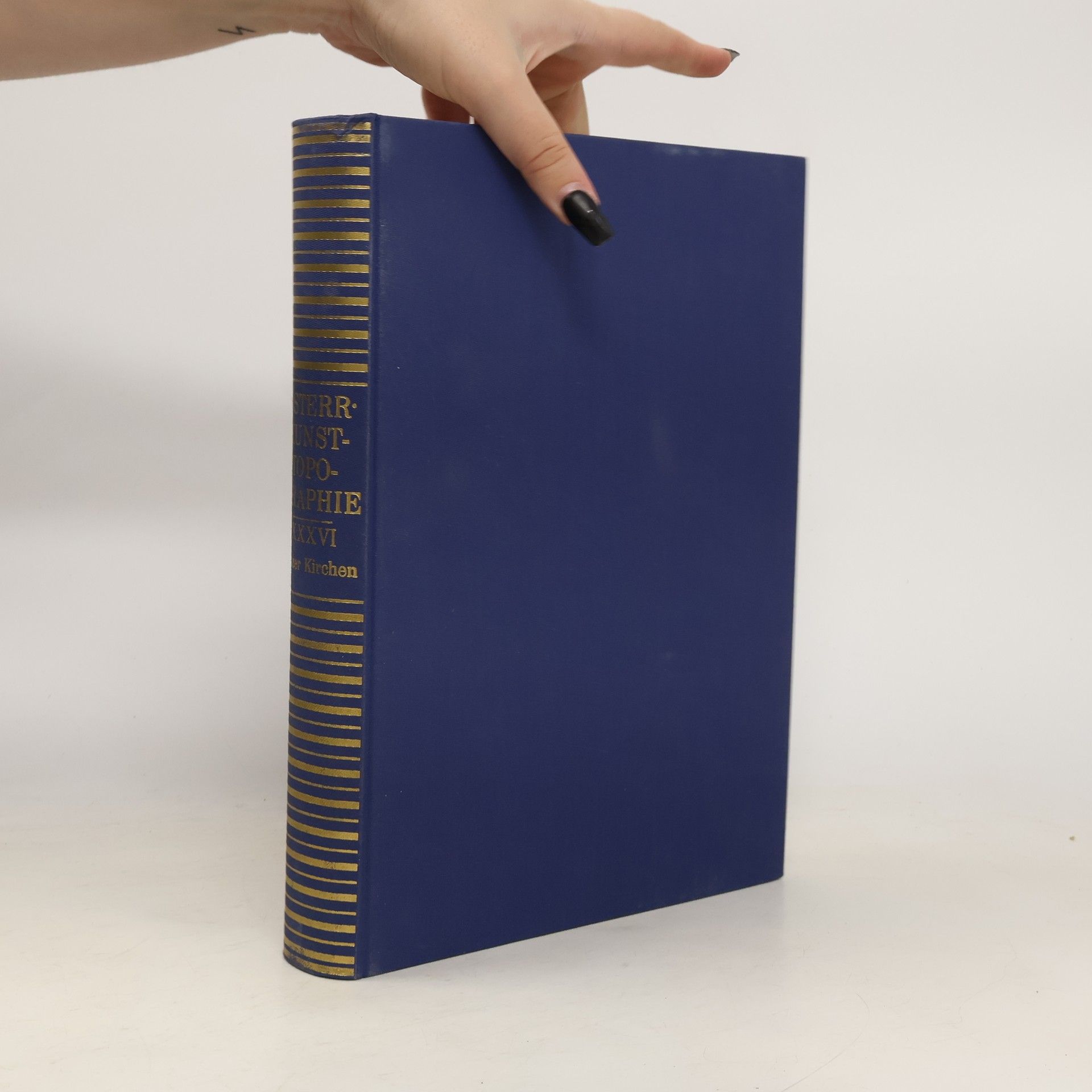 Justus Schmidt Die Linzer Kirchen