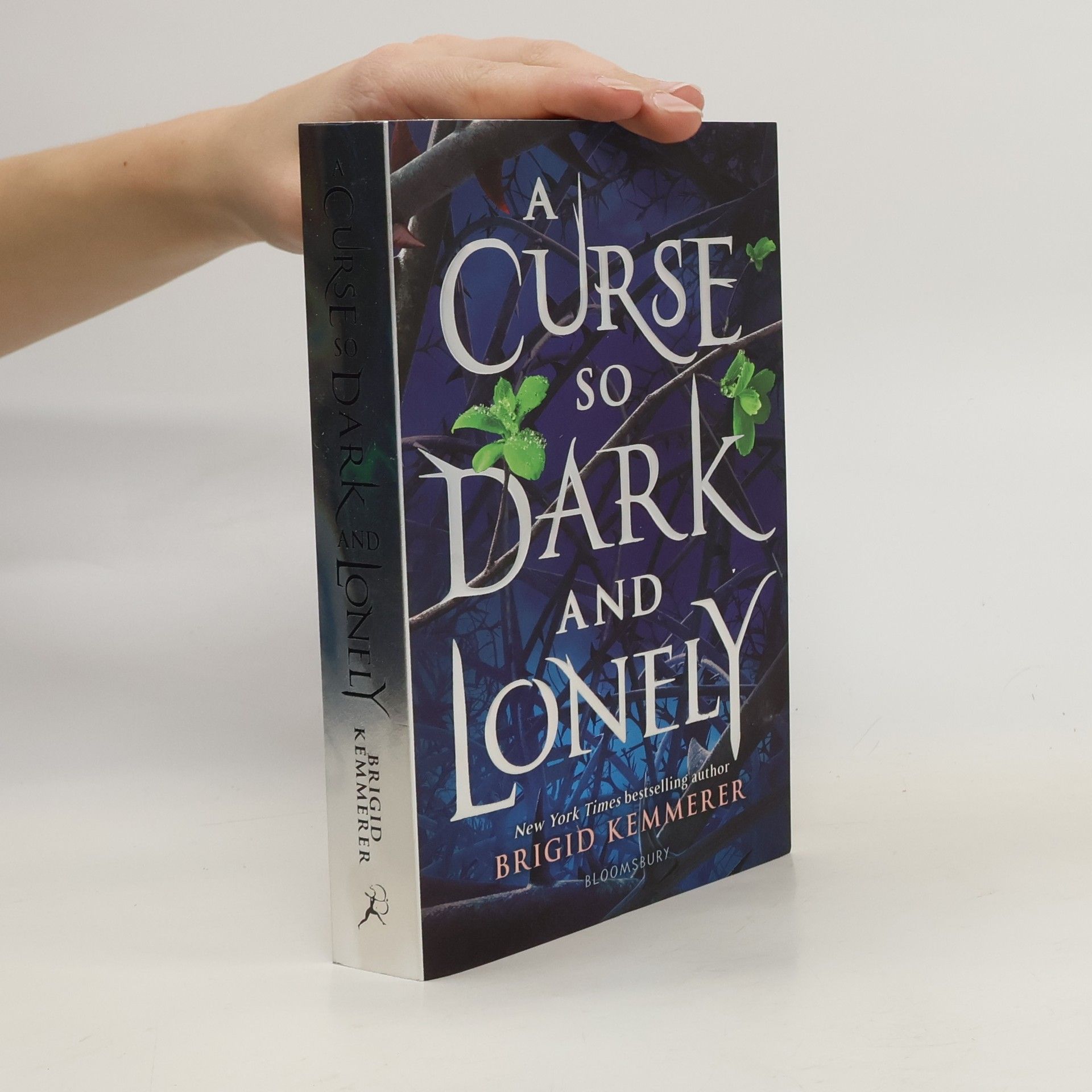 Brigid Kemmerer A curse so dark and lonely (1. díl série)