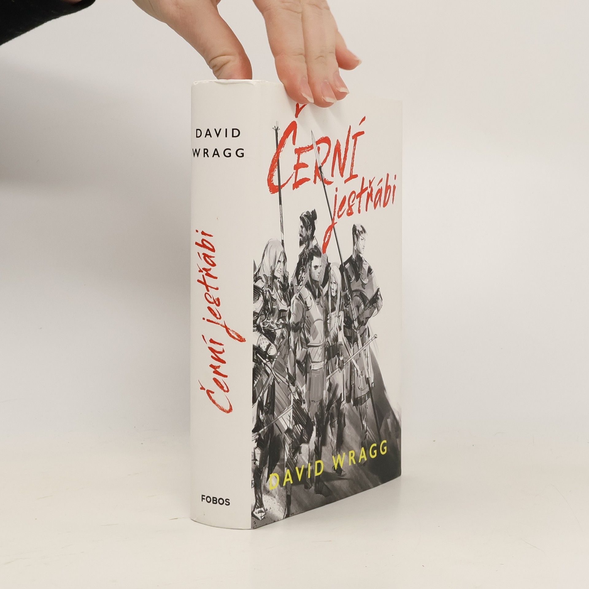 David Wragg Černí jestřábi