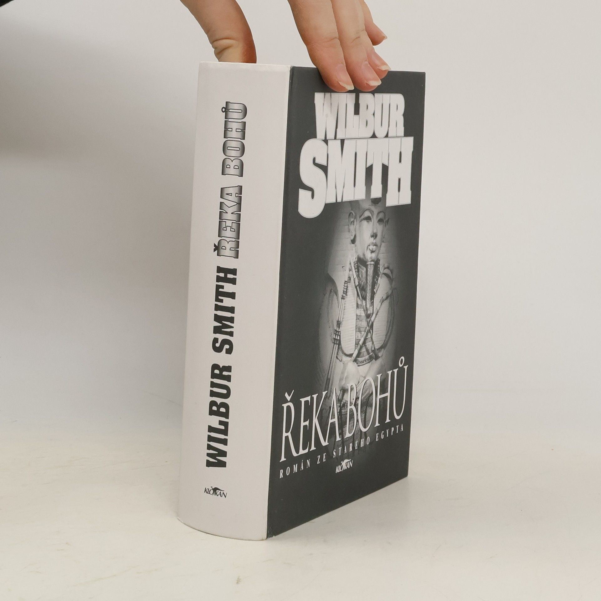 Wilbur Smith Řeka bohů