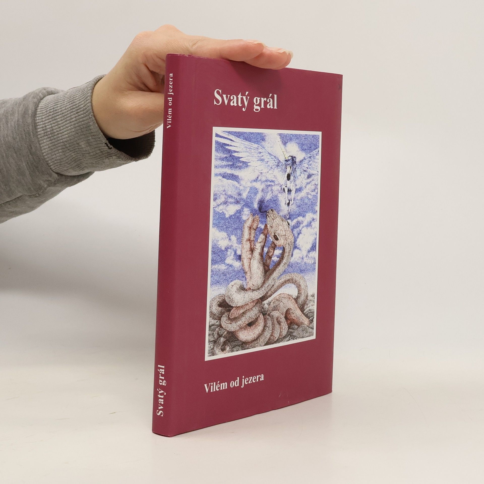 Vilém Hubka Svatý grál - Vilém od jezera