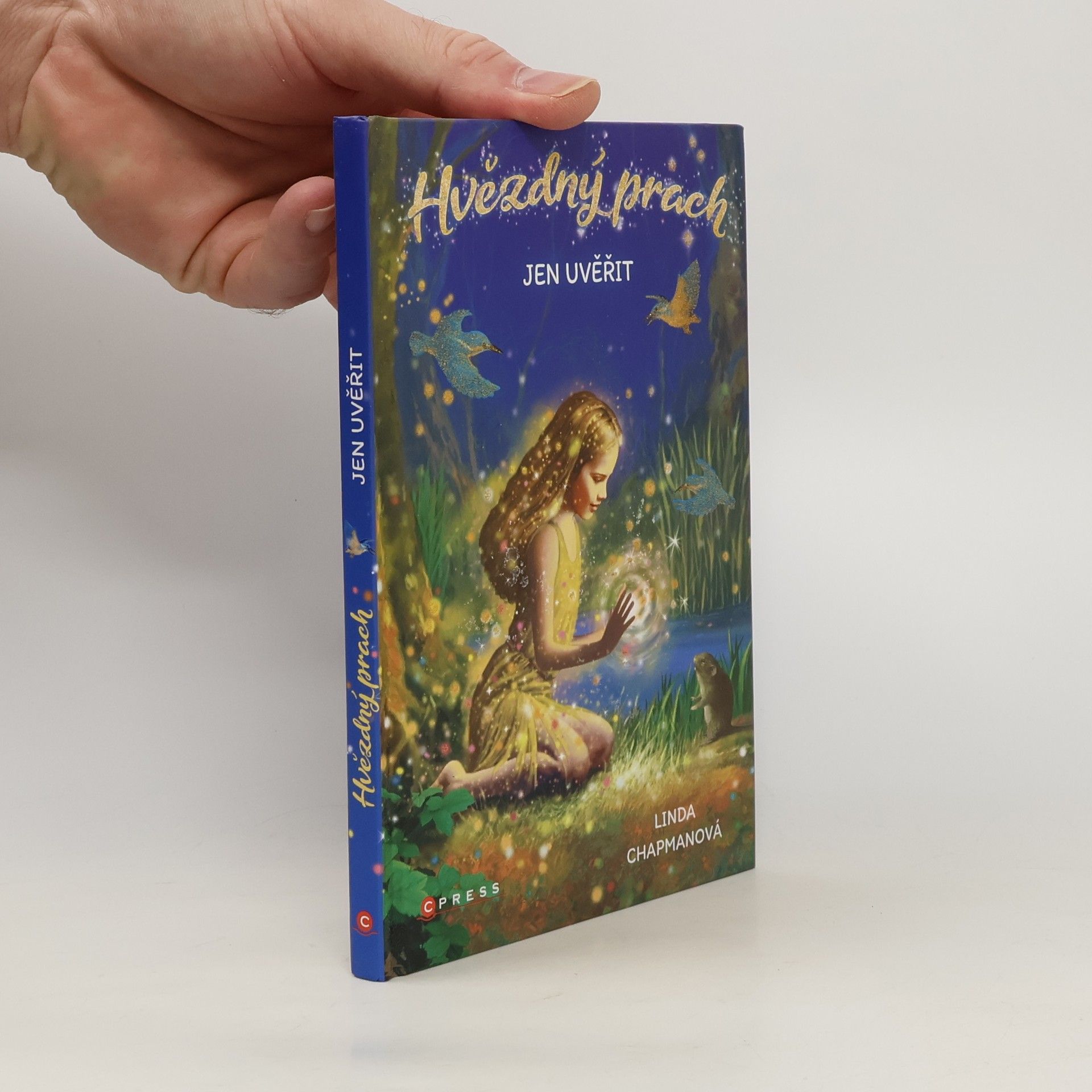 Linda Chapman Jen uvěřit