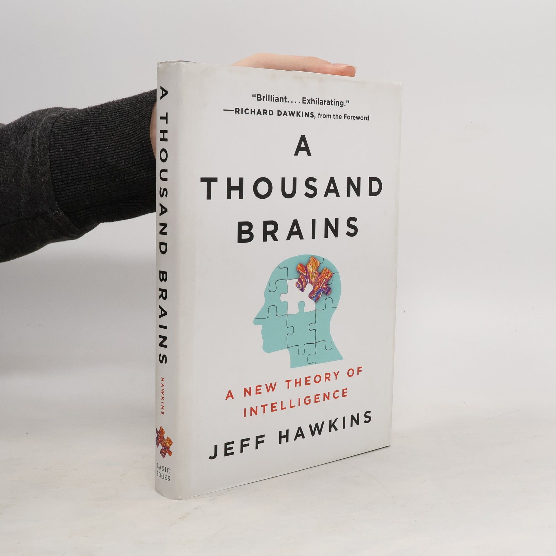 Jeff Hawkins A Thousand Brains
