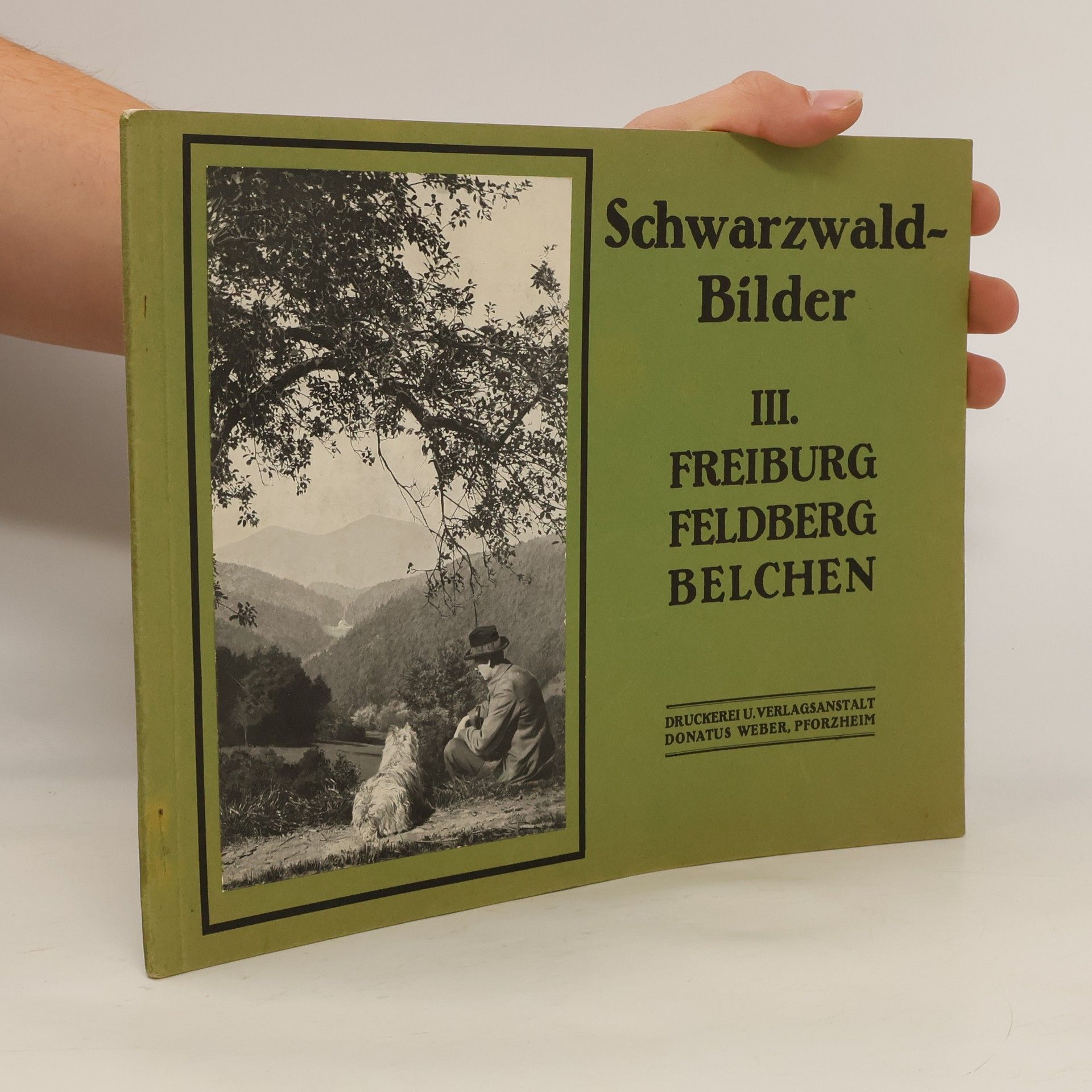 Collectif d'auteurs Schwarzwald Bilder III. Freiburg. Feldberg. Belchen