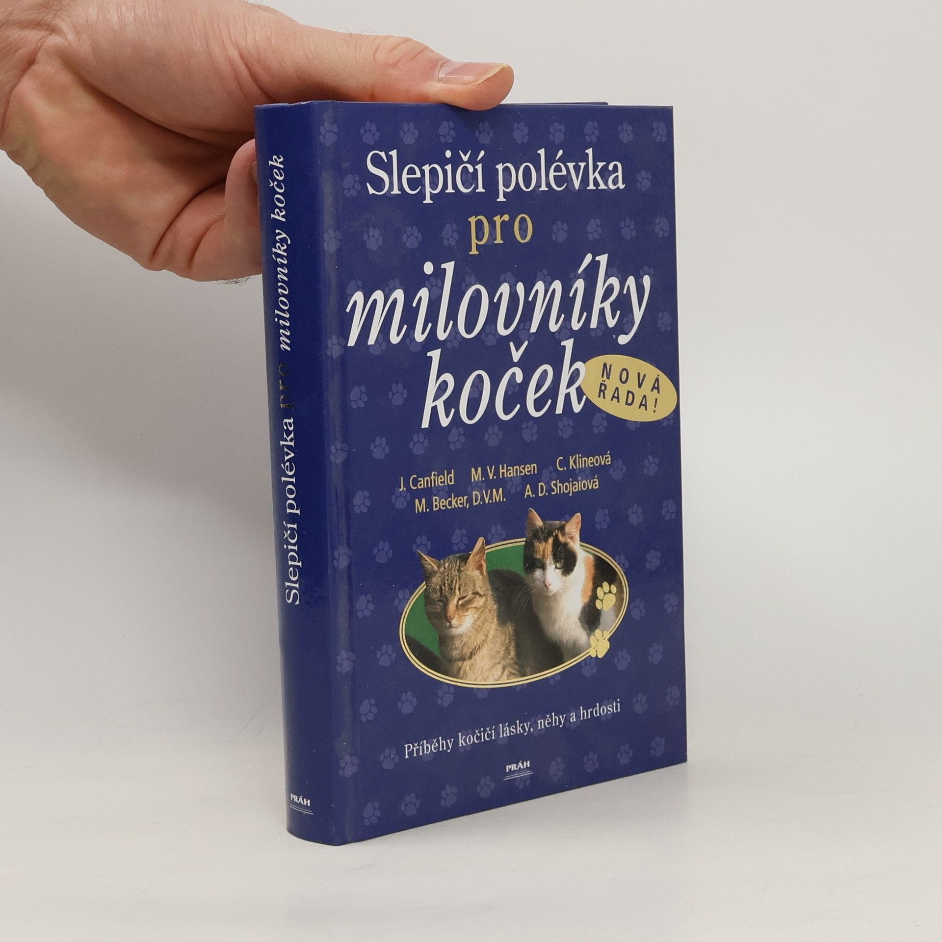 Jack Canfield Slepičí polévka pro milovníky koček: Příběhy o kočičí věrnosti, radosti i odvaze