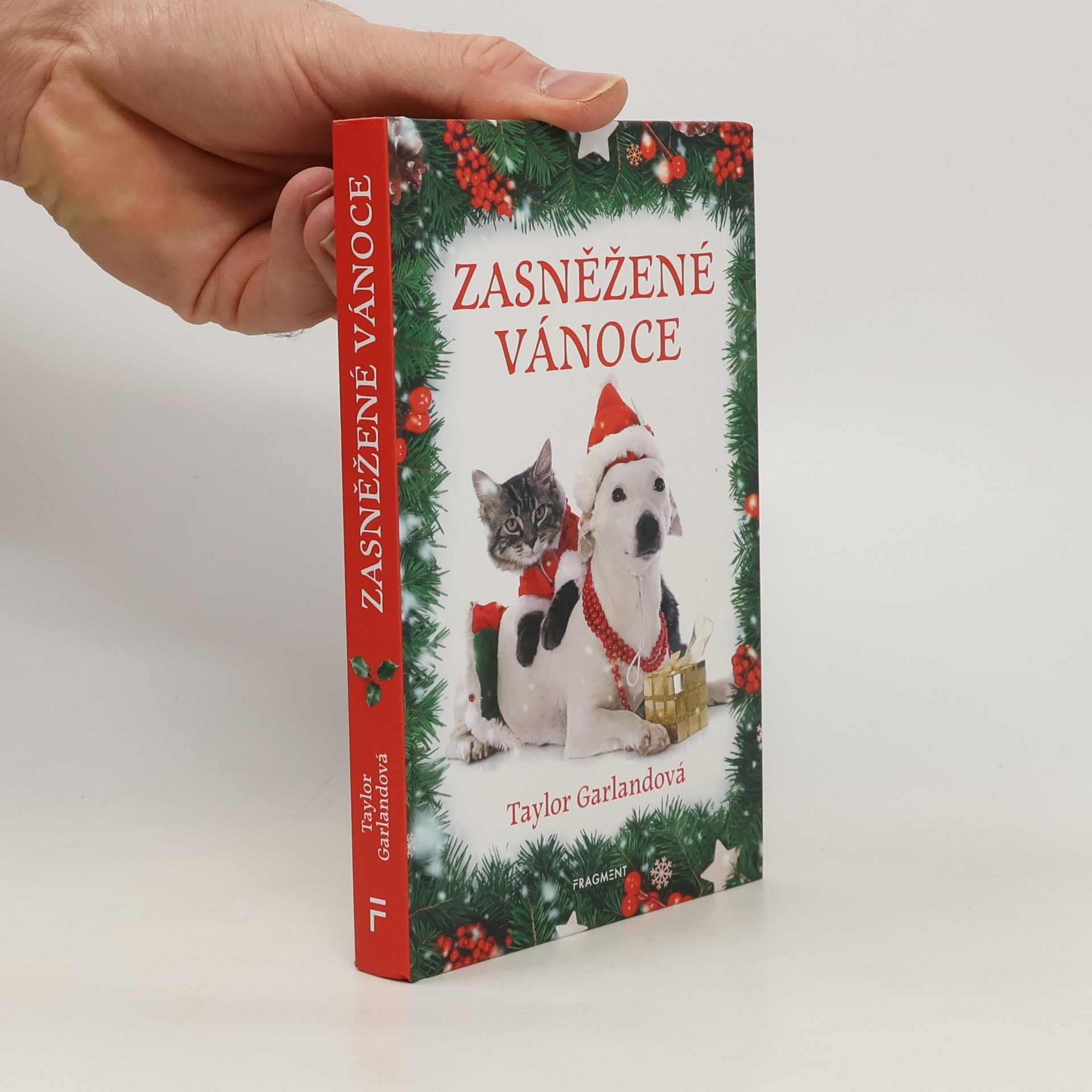 Zasněžené Vánoce