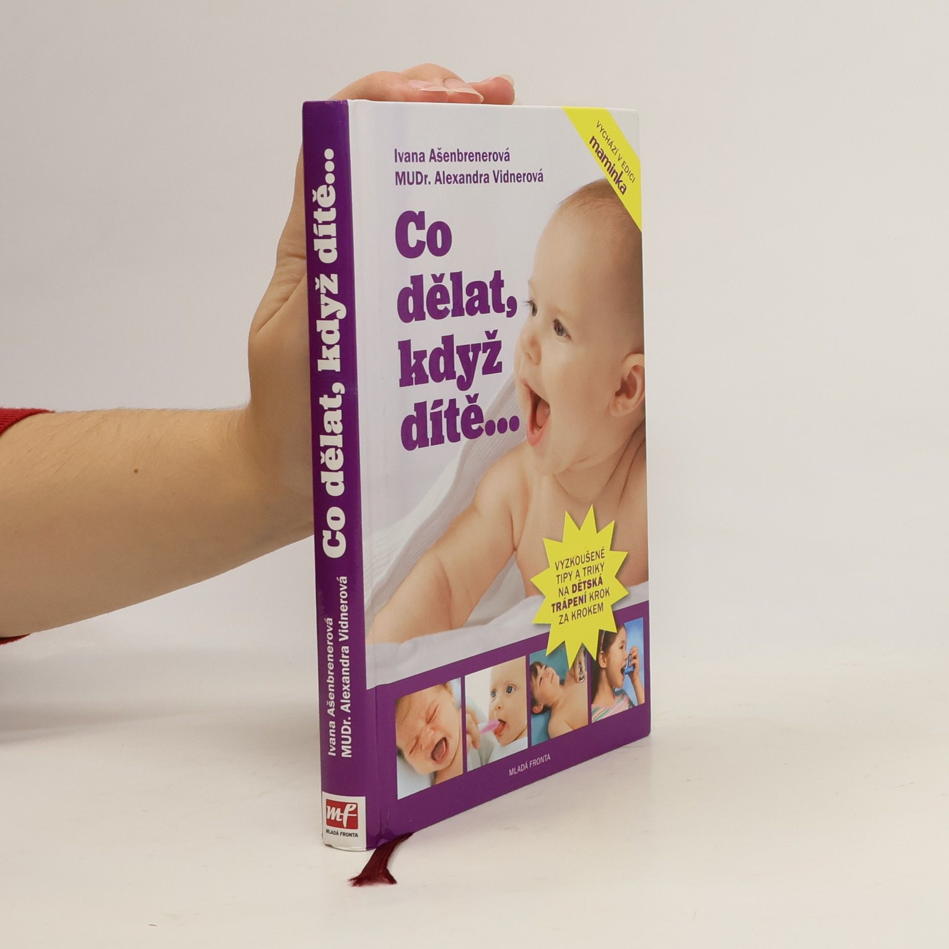 Ivana Ašenbrenerová Co dělat, když dítě...