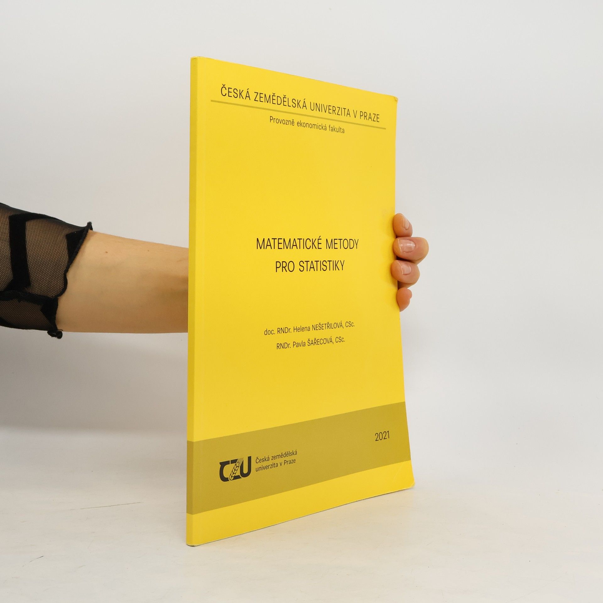 doc. RNDr. Helena NEŠETŘILOVÁ, CSc. Matematické metody pro statistiky