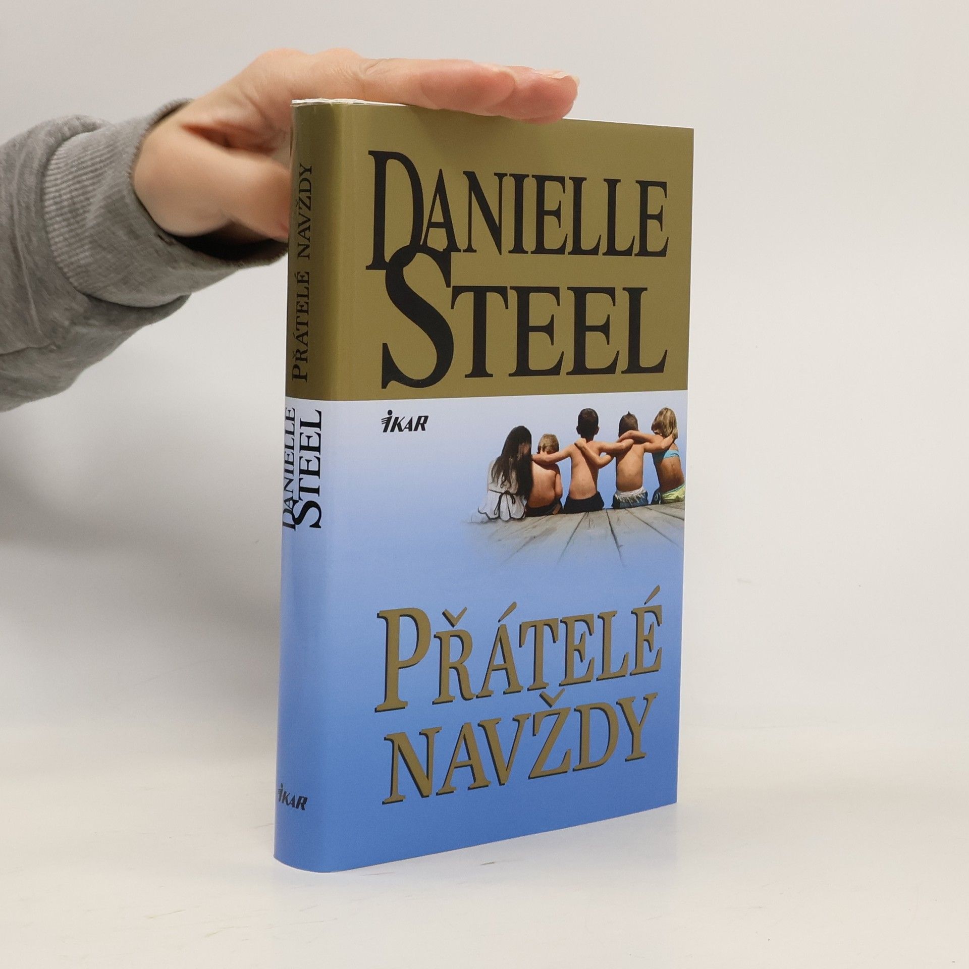 Danielle Steel Přátelé navždy