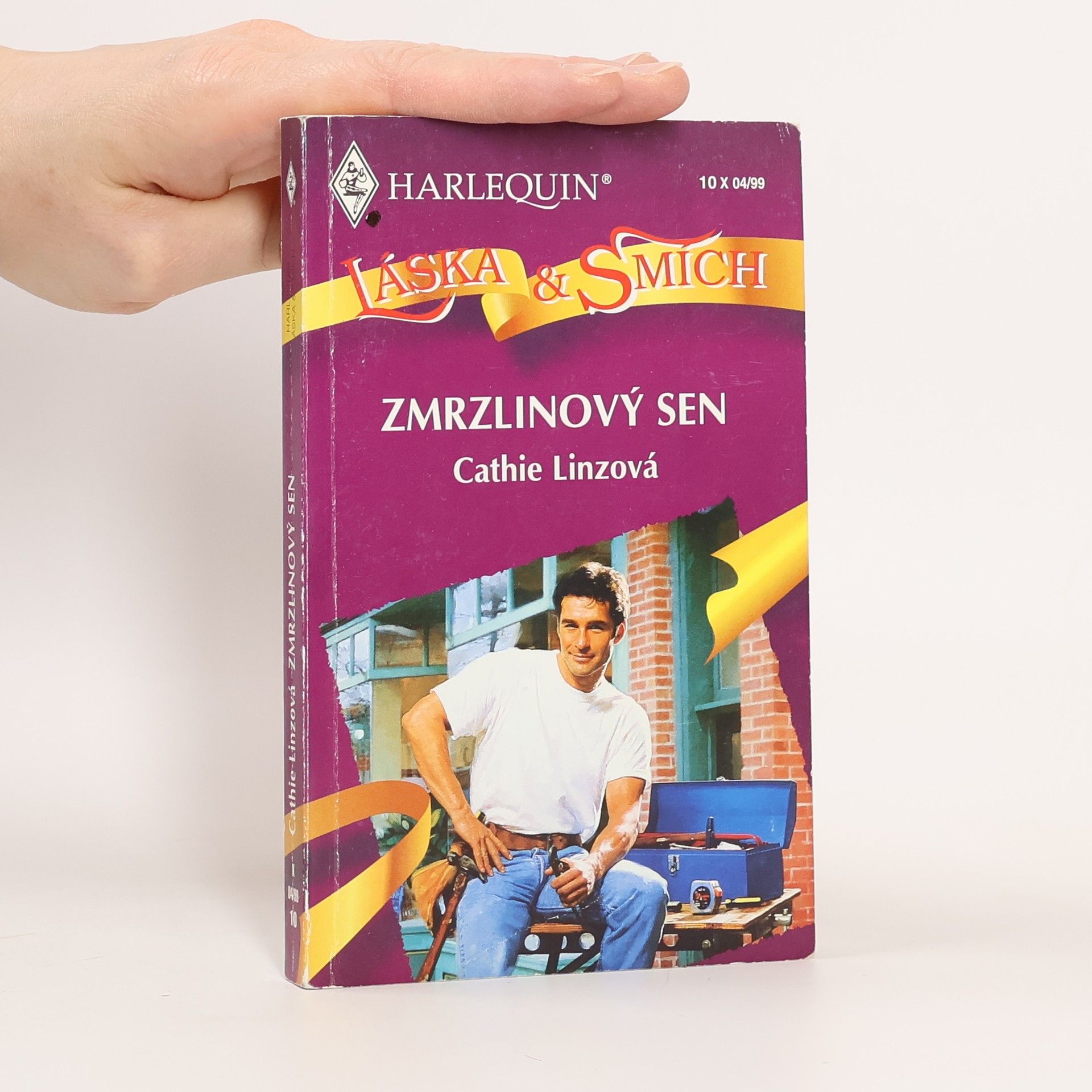 Cathie Linz Zmrzlinový sen