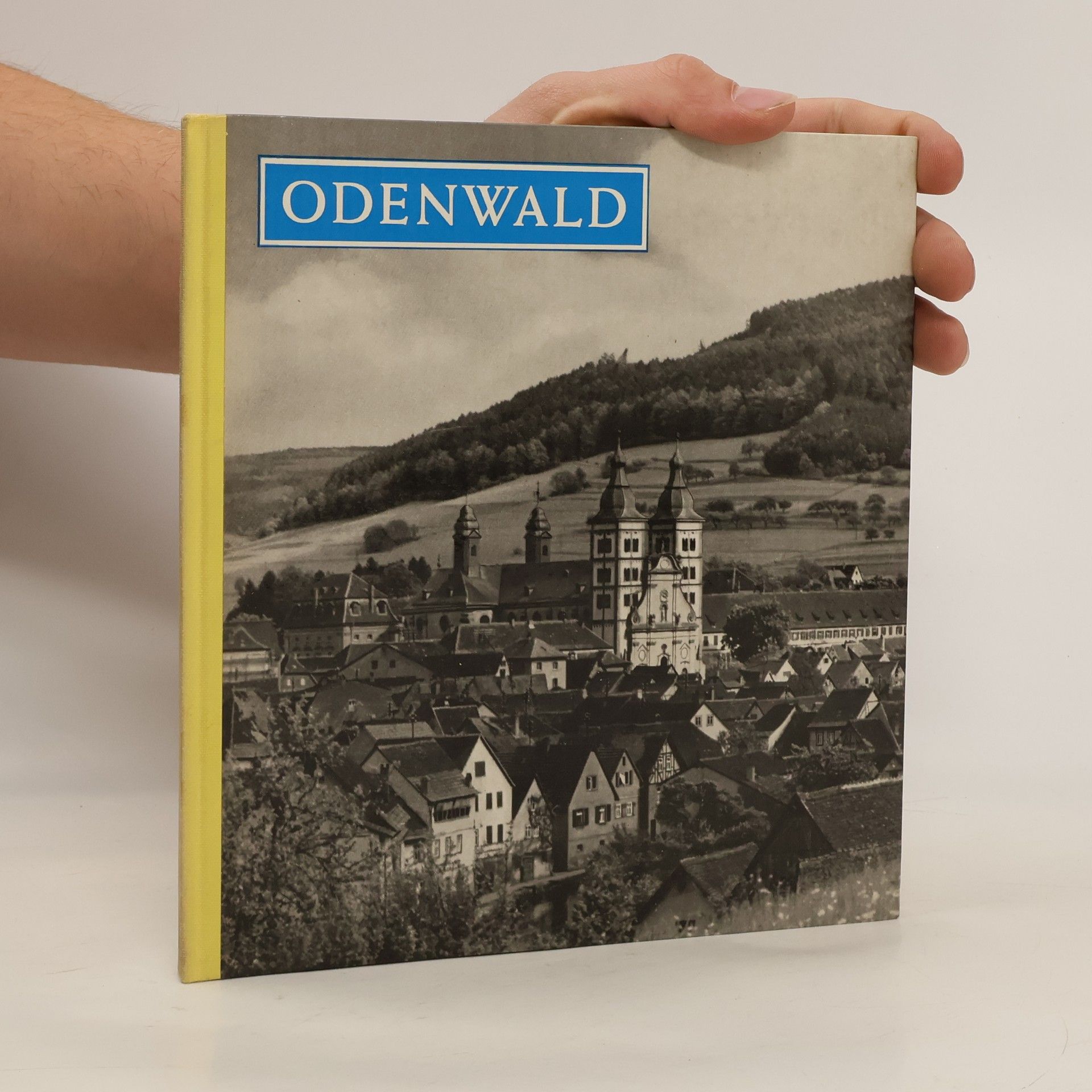 Collectif d'auteurs Odenwald