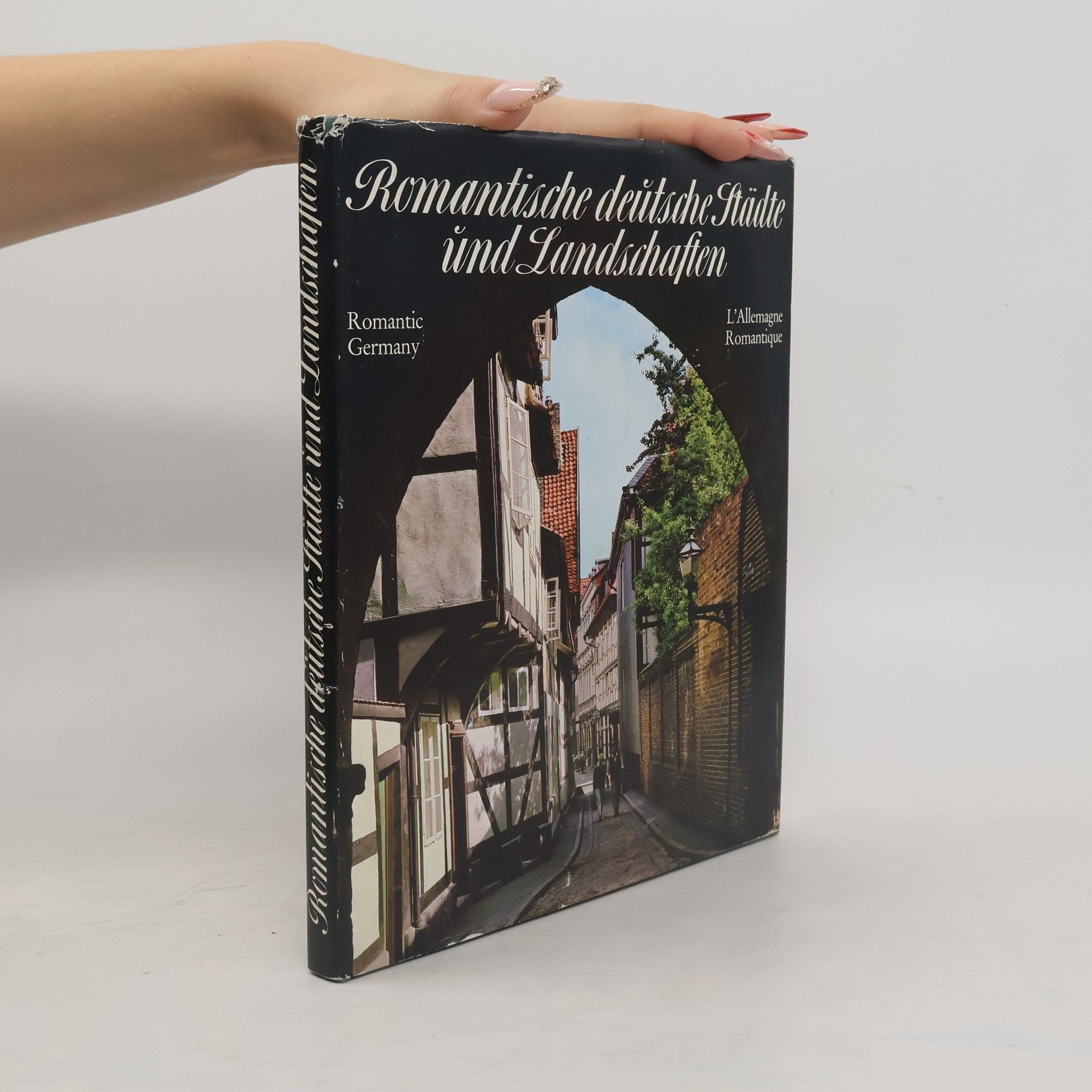 Various authors Romantische deutsche Städte und Landschaften