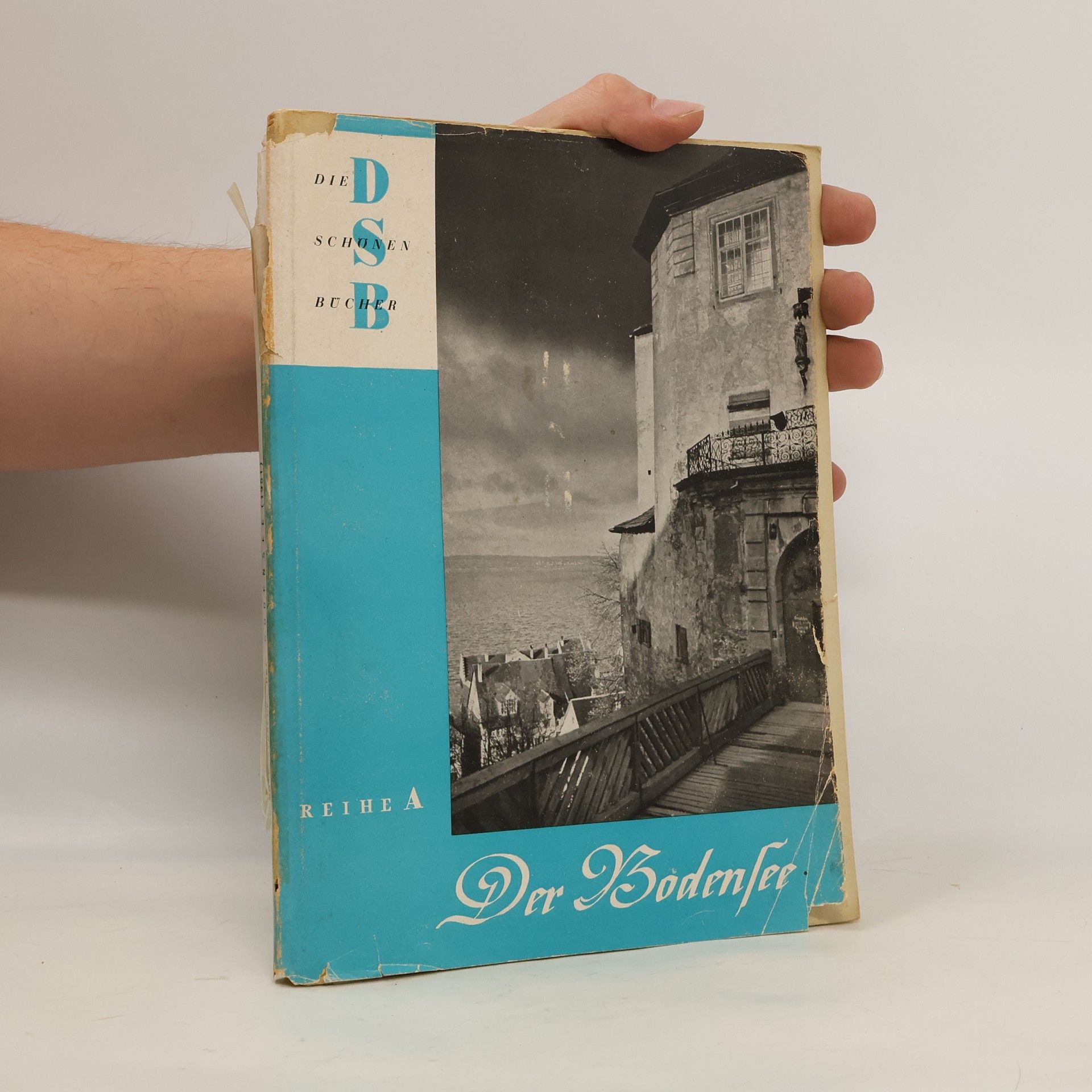 Wolf Strache Der Bodensee