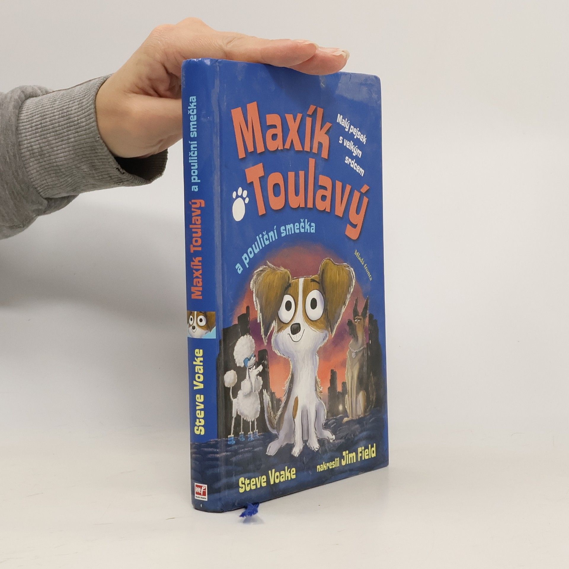 Steve Voake Maxík Toulavý a pouliční smečka